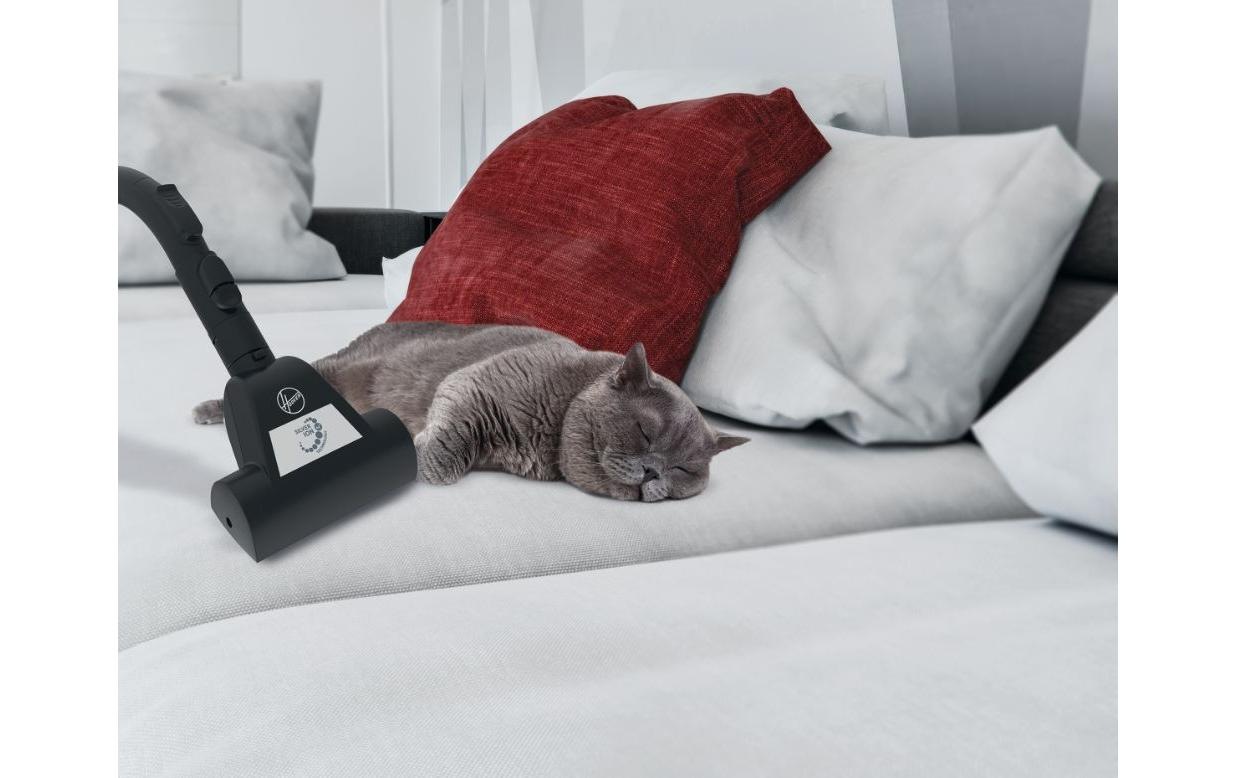Hoover Bodenstaubsauger »Staubsauger HP330ALG 21«, 850 W, mit Beutel