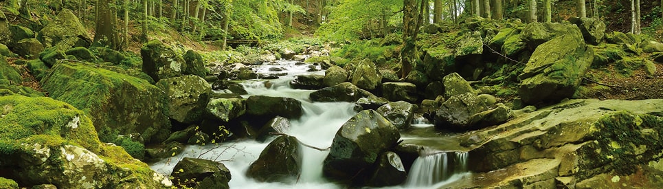 Image of Papermoon Fototapete »Soft Water Stream Panorama«, matt, Vlies, 2 Bahnen, 350 x 100 cm bei Ackermann Versand Schweiz