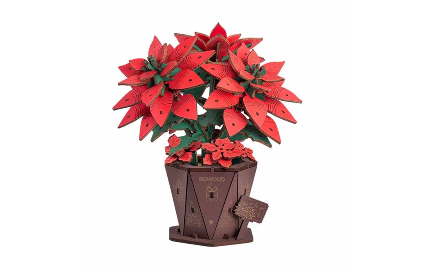   Modellbausatz »Rolife Poinsettia Weihnachtsstern«