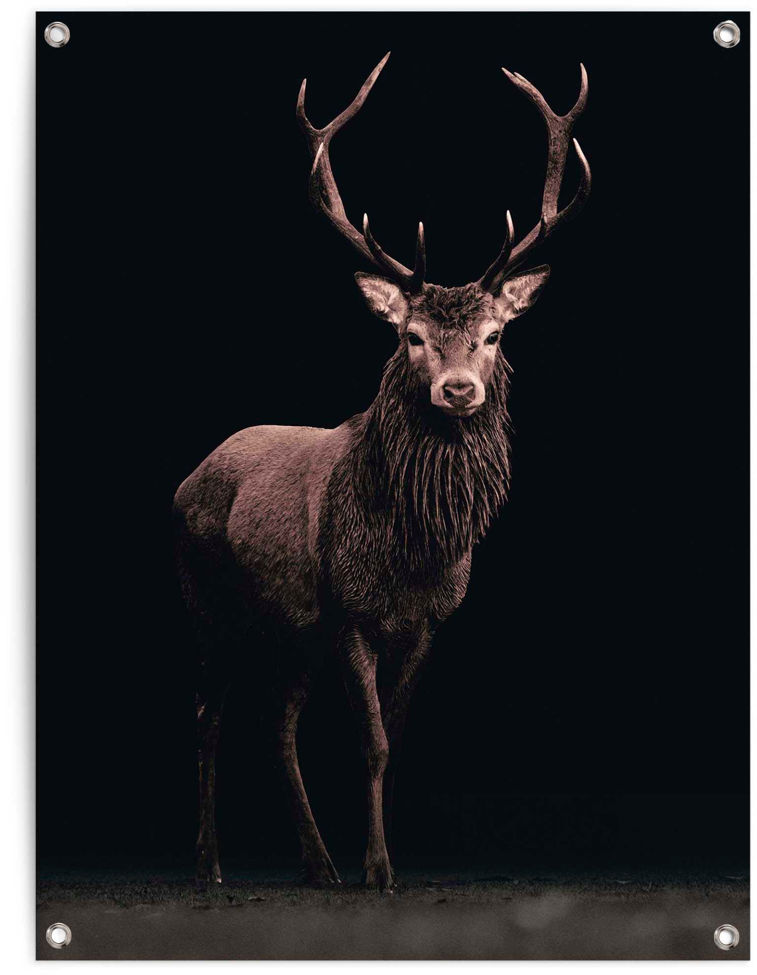 Image of Reinders Poster "Hirsch Sepia"