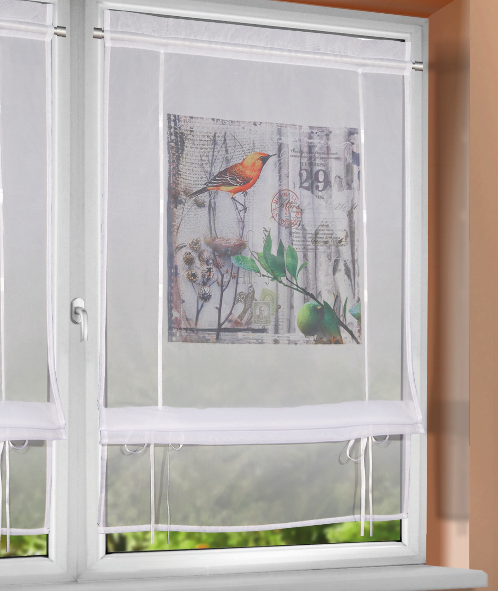 Image of WILLKOMMEN ZUHAUSE by ALBANI GROUP Bändchenrollo »Vogel«, mit Stangendurchzug, Bändchenrollo bei Ackermann Versand Schweiz