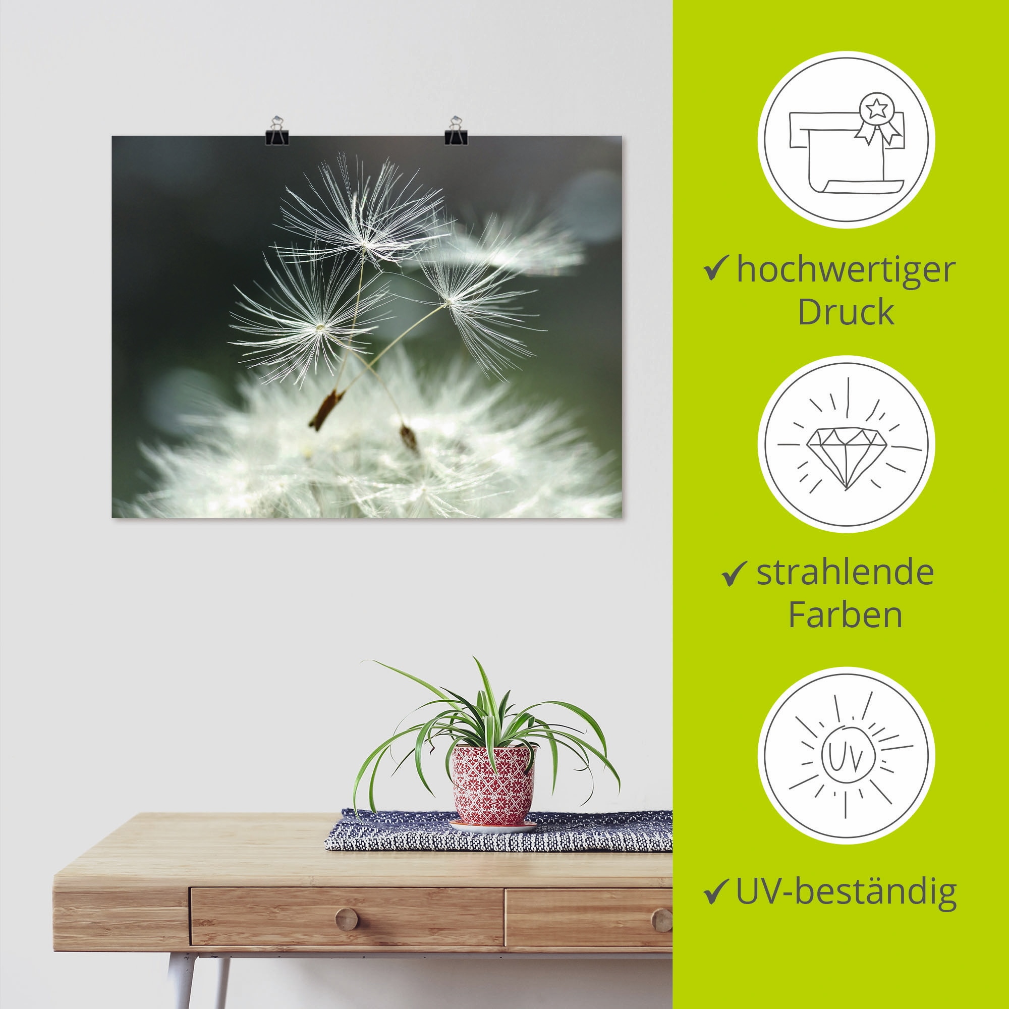 Artland Wandbild »Pusteblume Facility« Blumen 1 Stk. tlg. als Alubild, Leinwandbild, Poster in verschied. Grössen