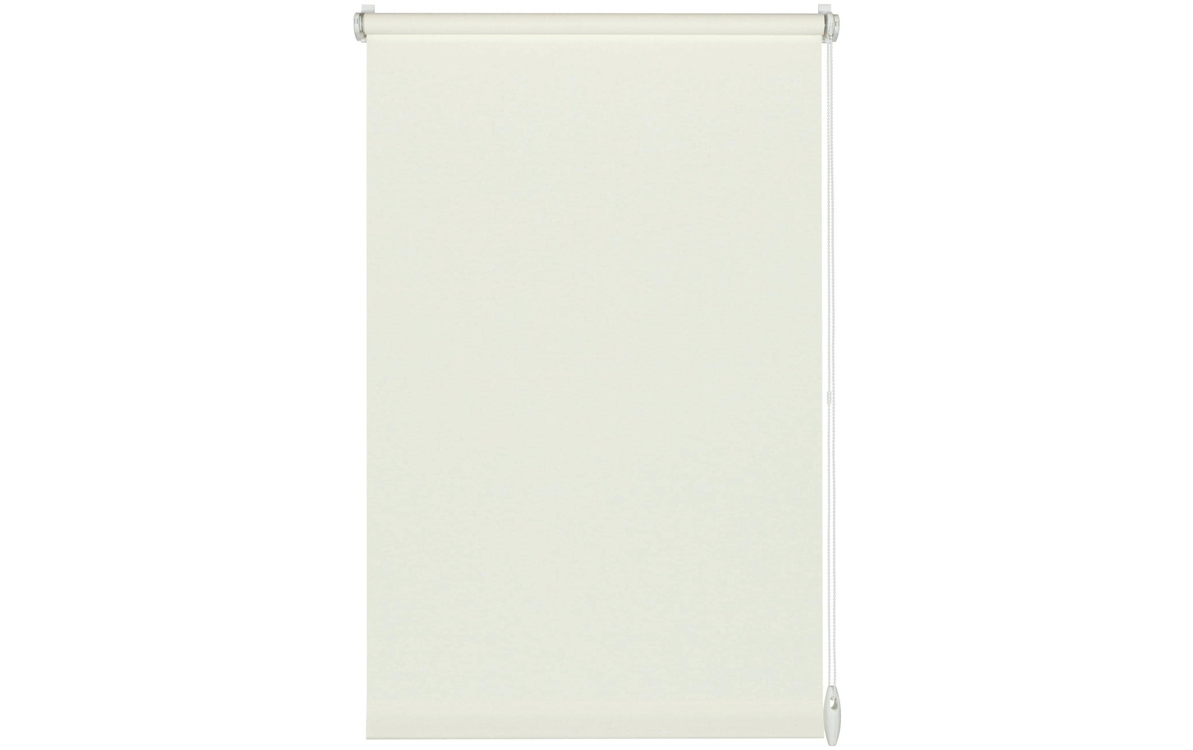 Image of GARDINIA Rollo "EASYFIX Uni, Weiss" blickdicht