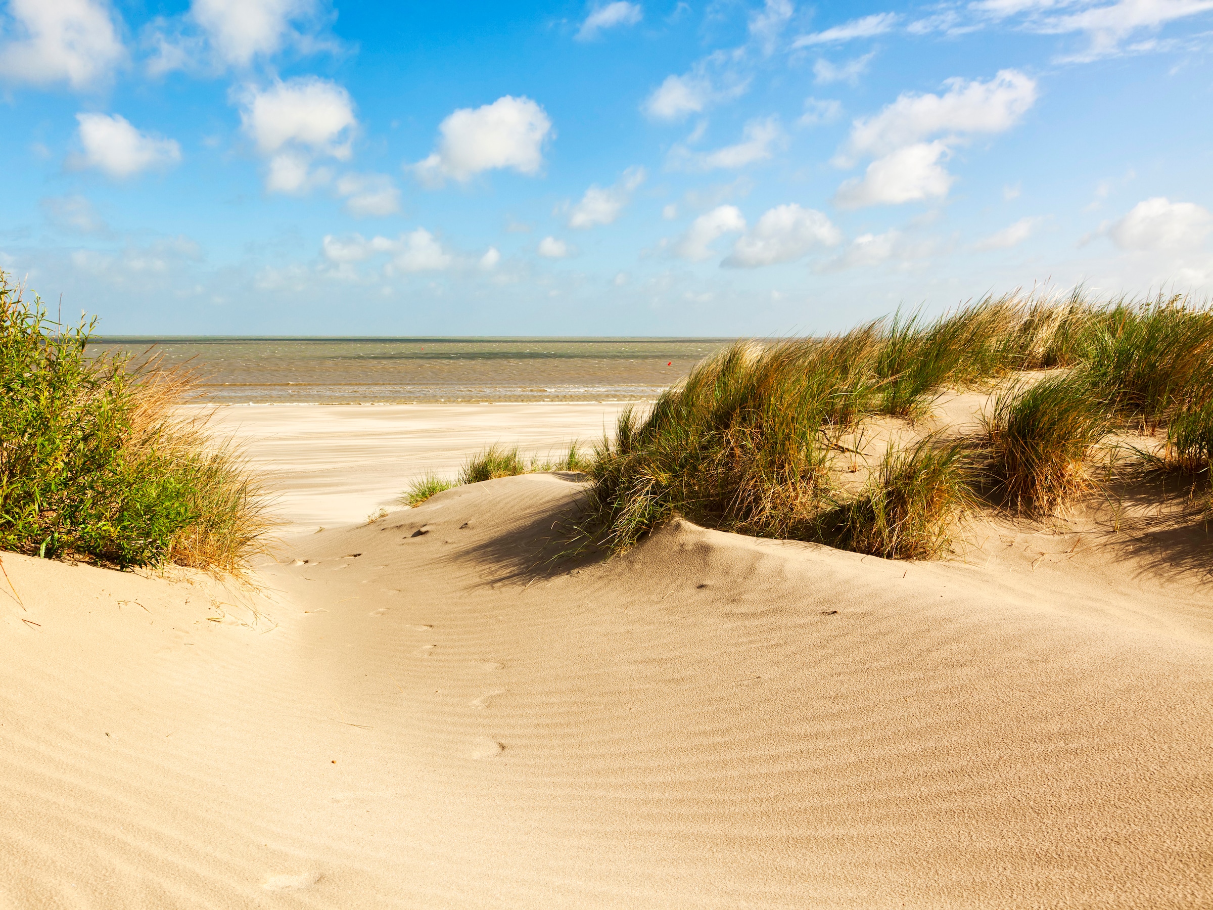 Image of Papermoon Fototapete "Dunes Knokke-Heist" glatt