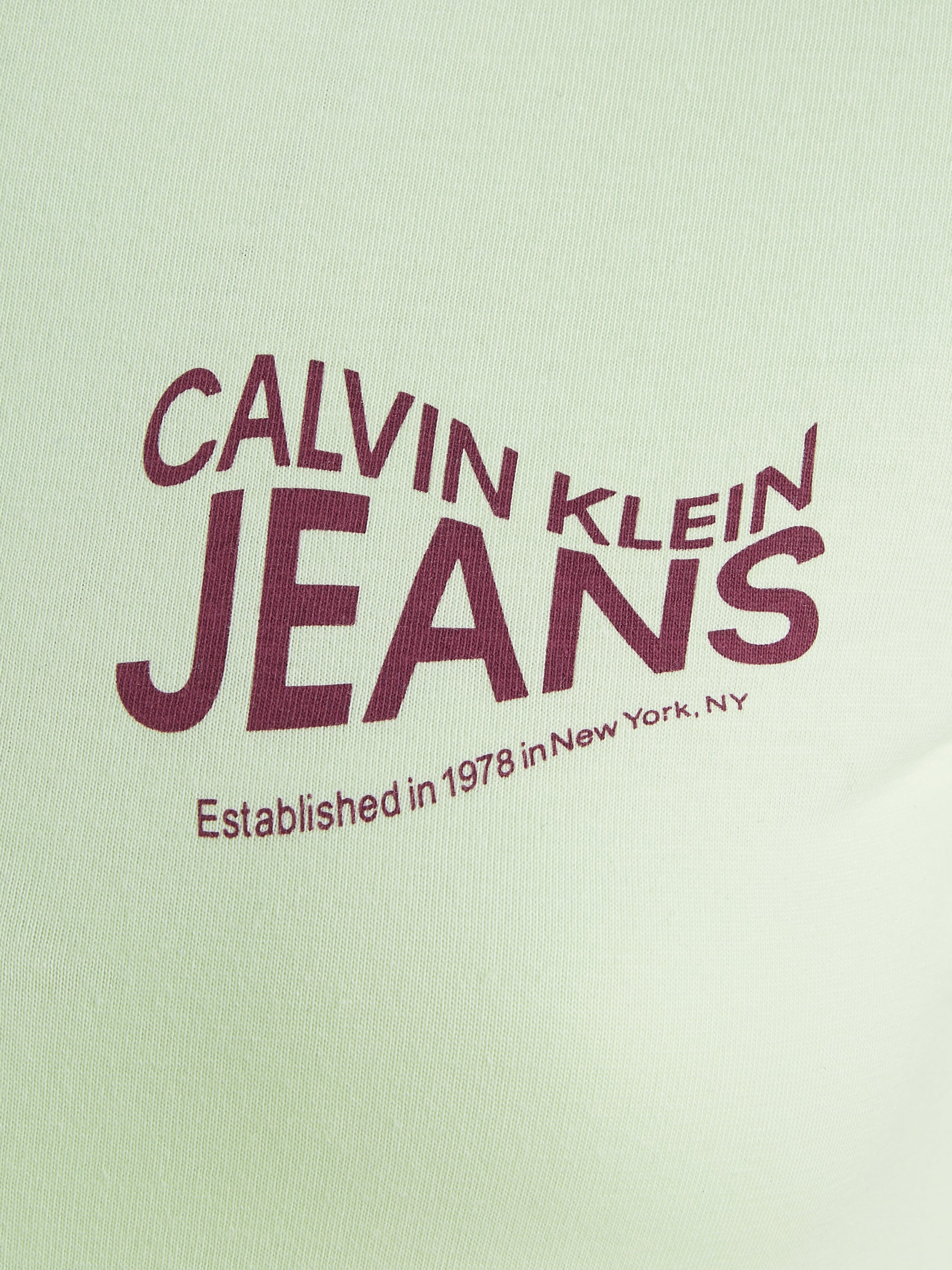 Calvin Klein Jeans T-Shirt