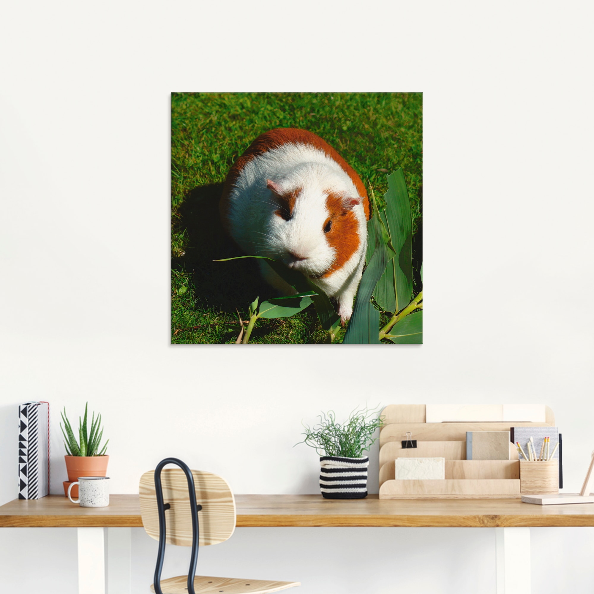 Artland Glasbild »Orange weisses Meerschweinchen«, Haustiere, (1 St.), in verschiedenen Grössen