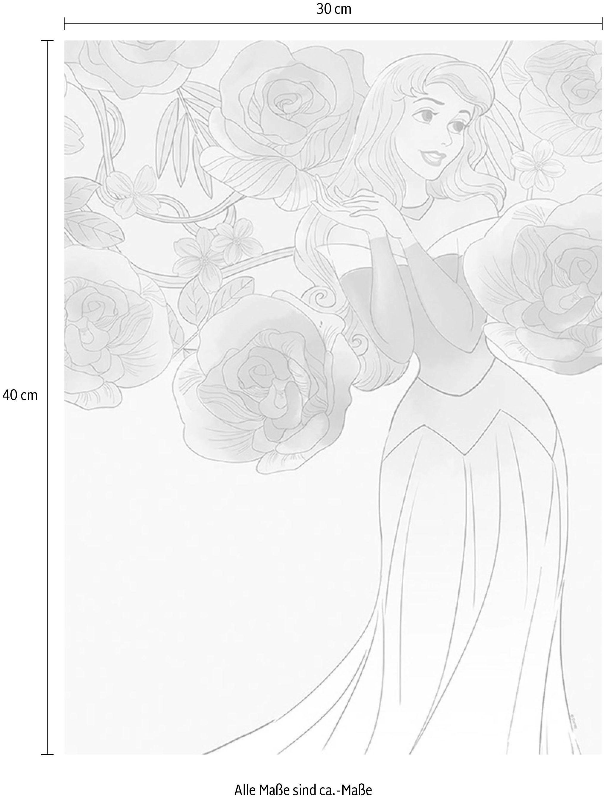 Komar Bild »Sleeping Beauty Roses«, Disney, (1 St.), Wandbild zur Dekoration im Kinderzimmer - ohne Rahmen