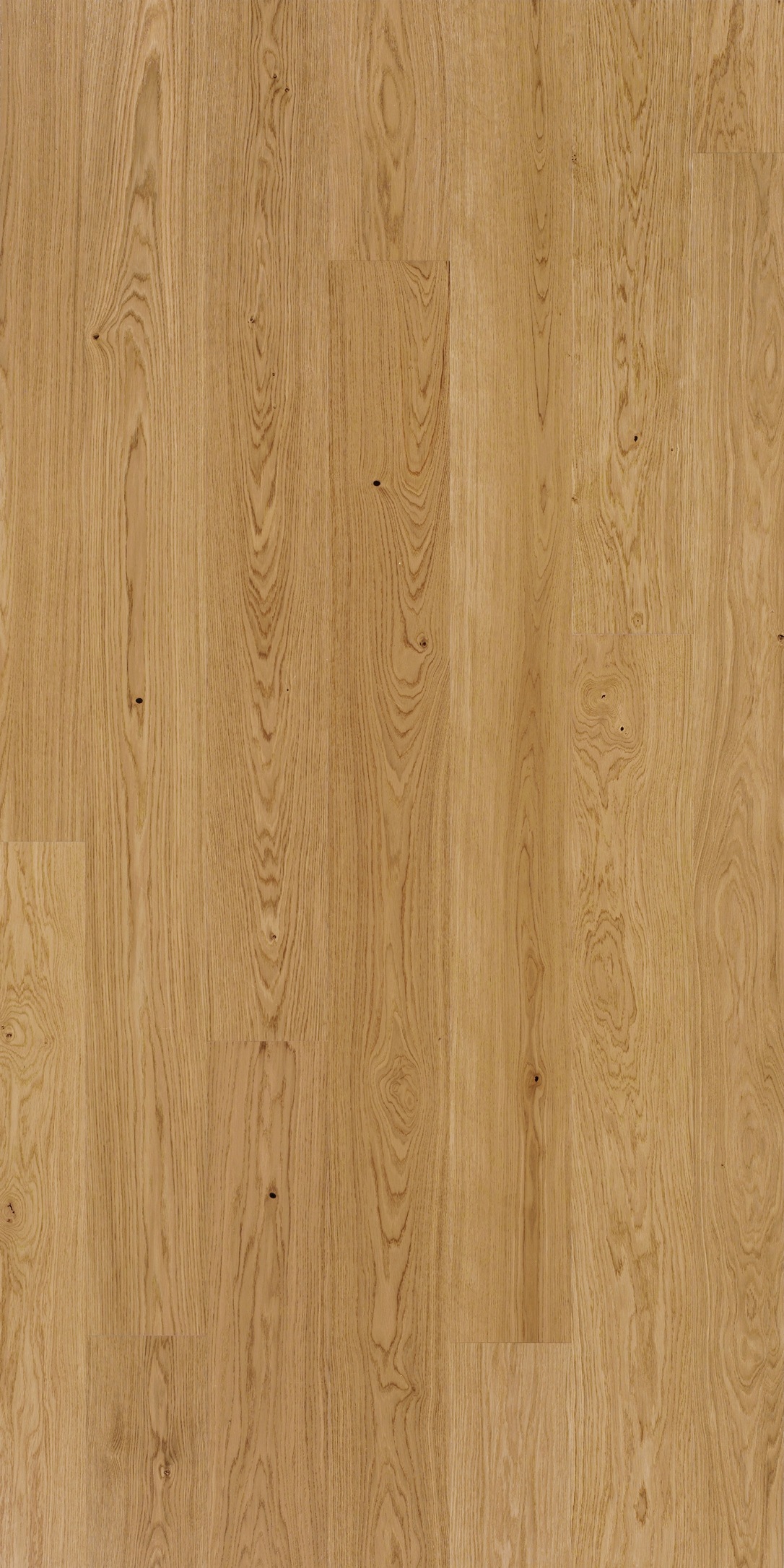 Image of PARADOR Parkett »Classic 3060 Natur - Eiche, geölt«, (Packung), Klicksystem, 2200 x 185 mm, Stärke: 13 mm, 3,66 m² bei Ackermann Versand Schweiz