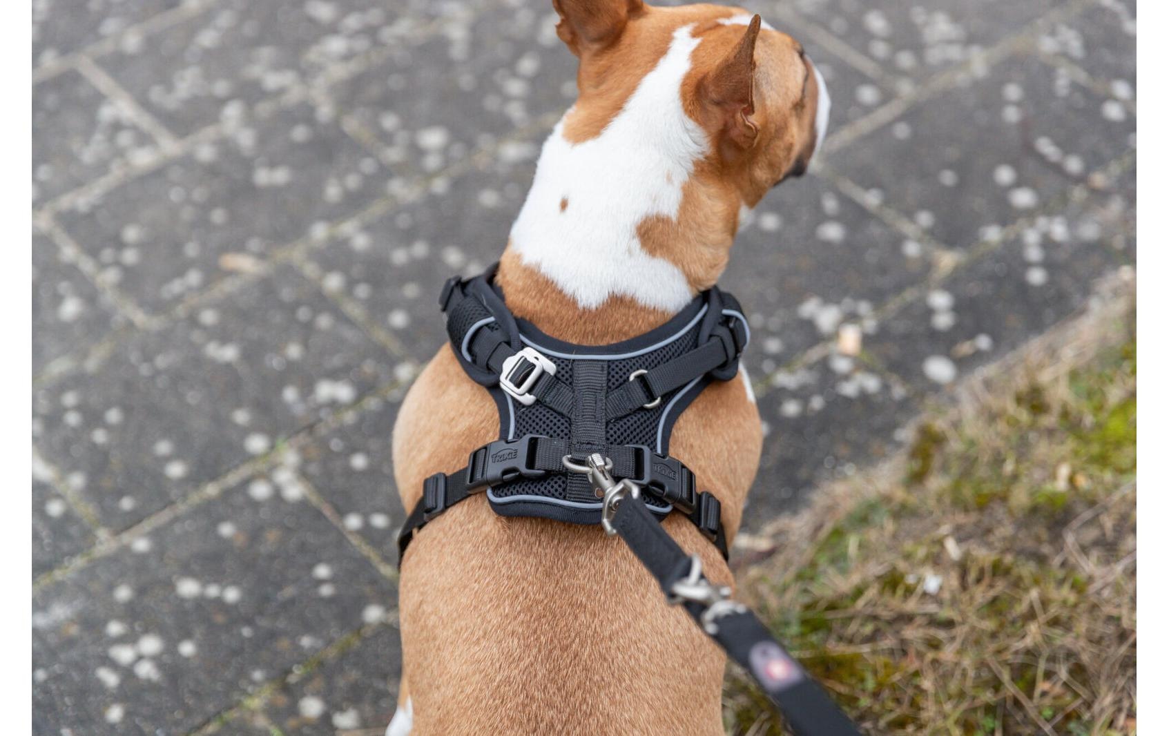 TRIXIE Hunde-Geschirr "Premium FlexMesh Geschir L" Mesh Geschirr mit spezellem Schnitt für kurze, kompakte Hunde