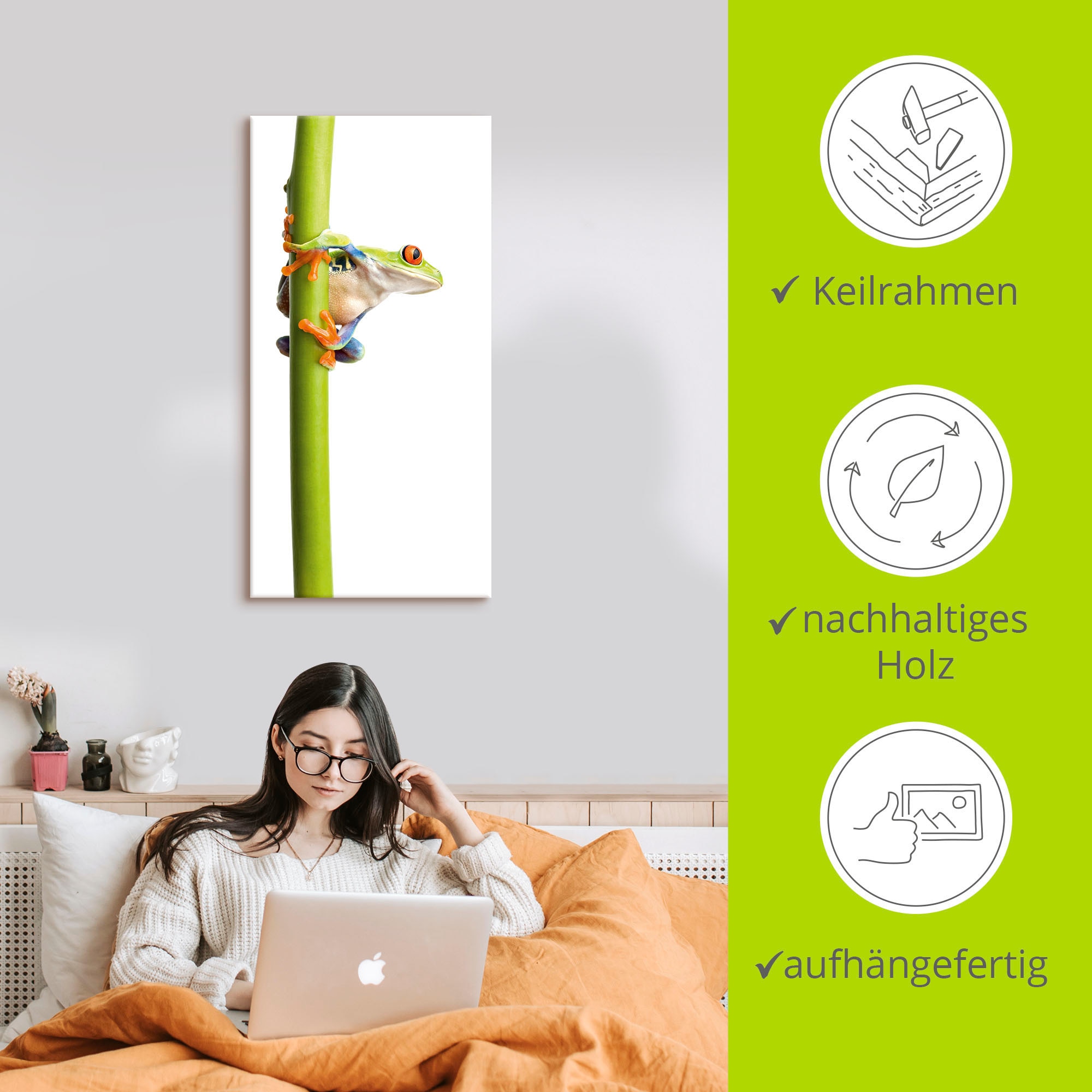 Artland Leinwandbild »Frosch umfasst einen Pflanzenstengel« Wassertiere 1 Stk. tlg. auf Holzrahmen gespannt