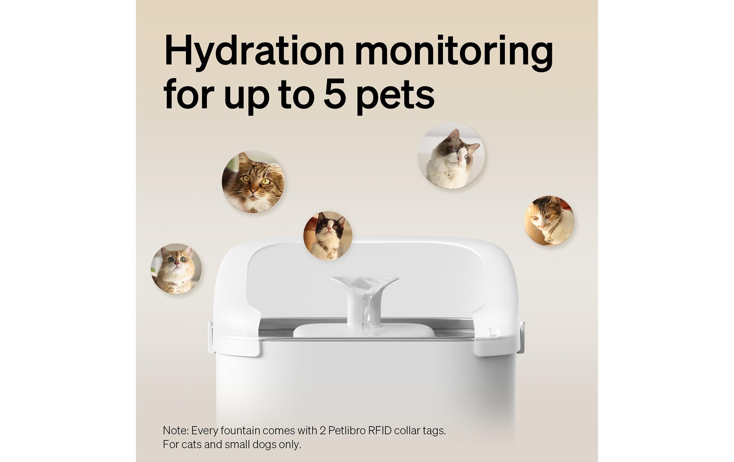   Fontaine à boire »Petlibro Dockstream RFID Smart Fountain 3 l« Automatischer Trinkbrunnen