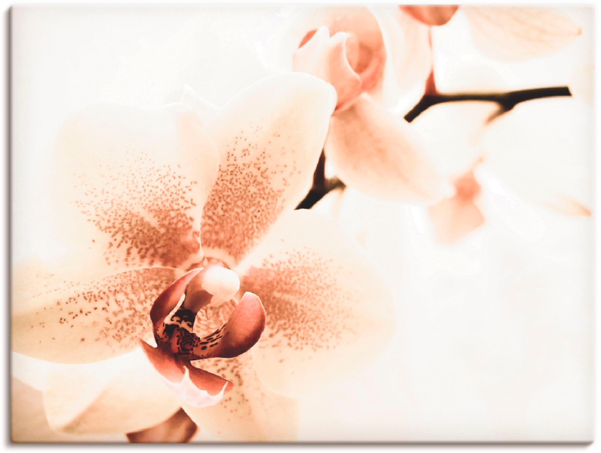 Image of Artland Leinwandbild "Orchidee abstrakte Collage" Blumen 1 Stk. tlg. auf Holzrahmen gespannt