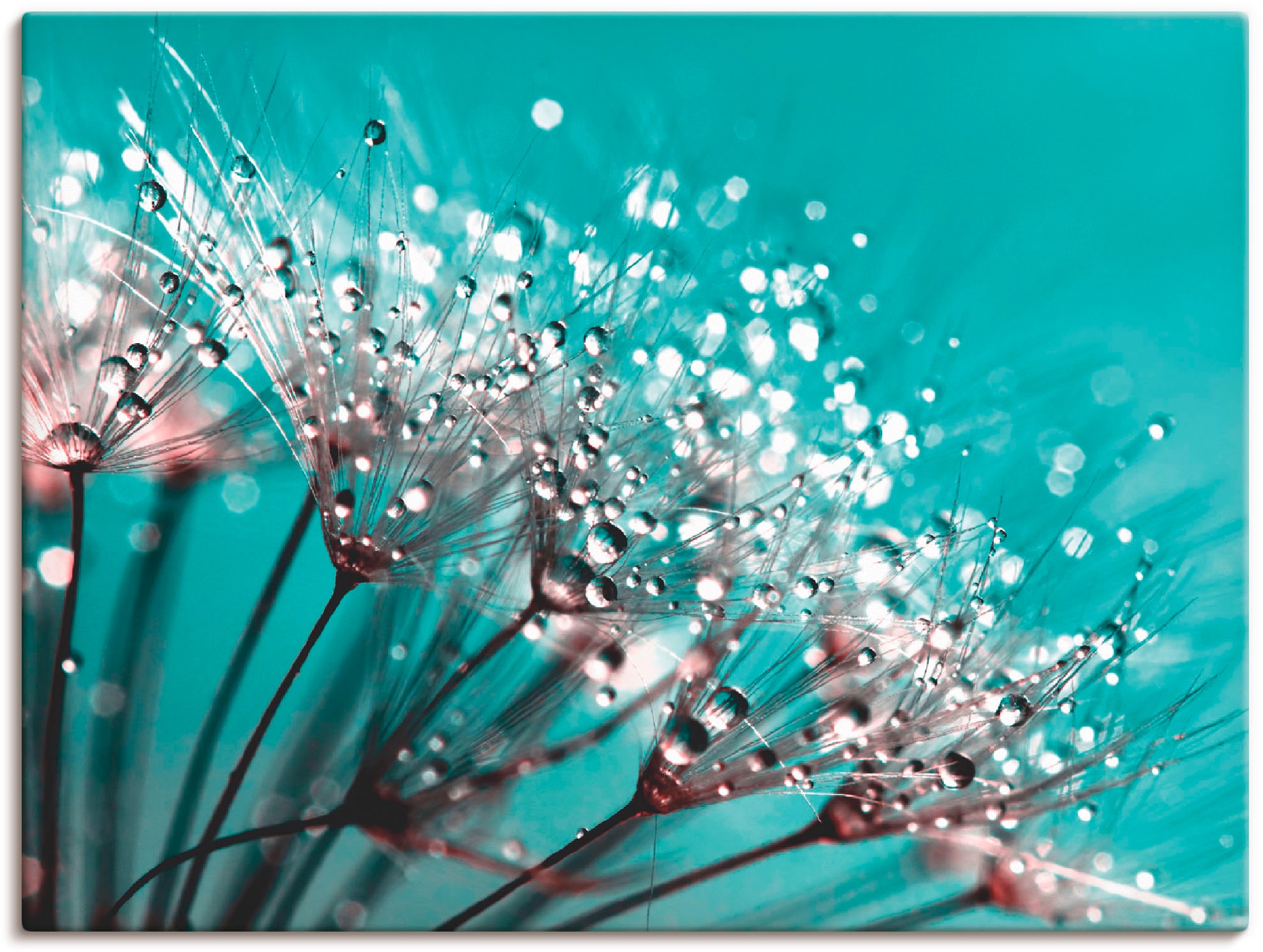 Image of Artland Leinwandbild "Glitzernde Pusteblume I" Blumen 1 Stk. tlg. auf Holzrahmen gespannt