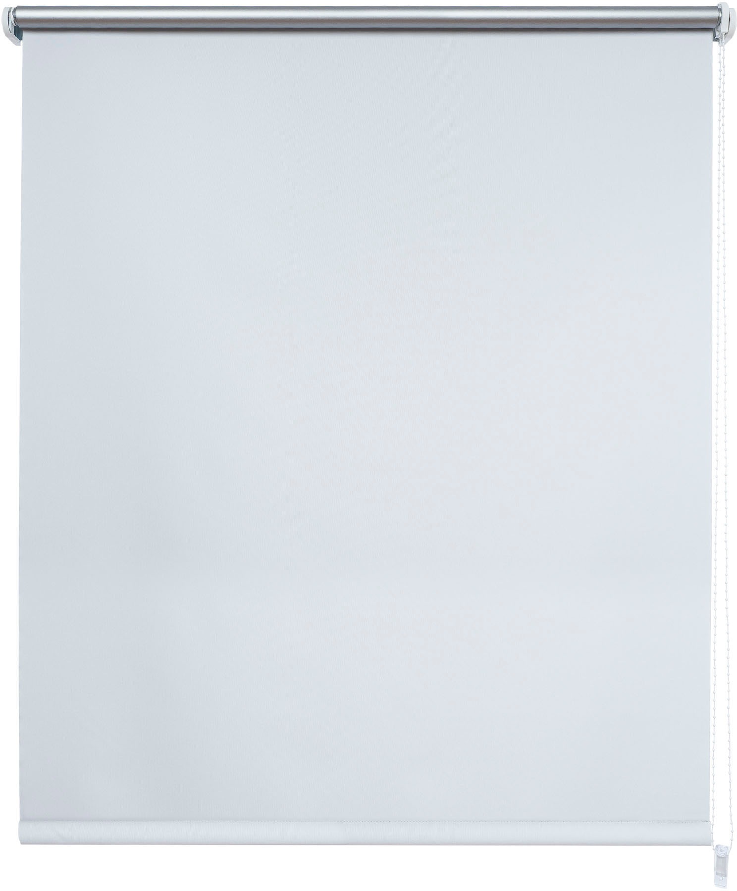 Image of Liedeco Seitenzugrollo »Thermo-Rollo«, verdunkelnd, energiesparend bei Ackermann Versand Schweiz