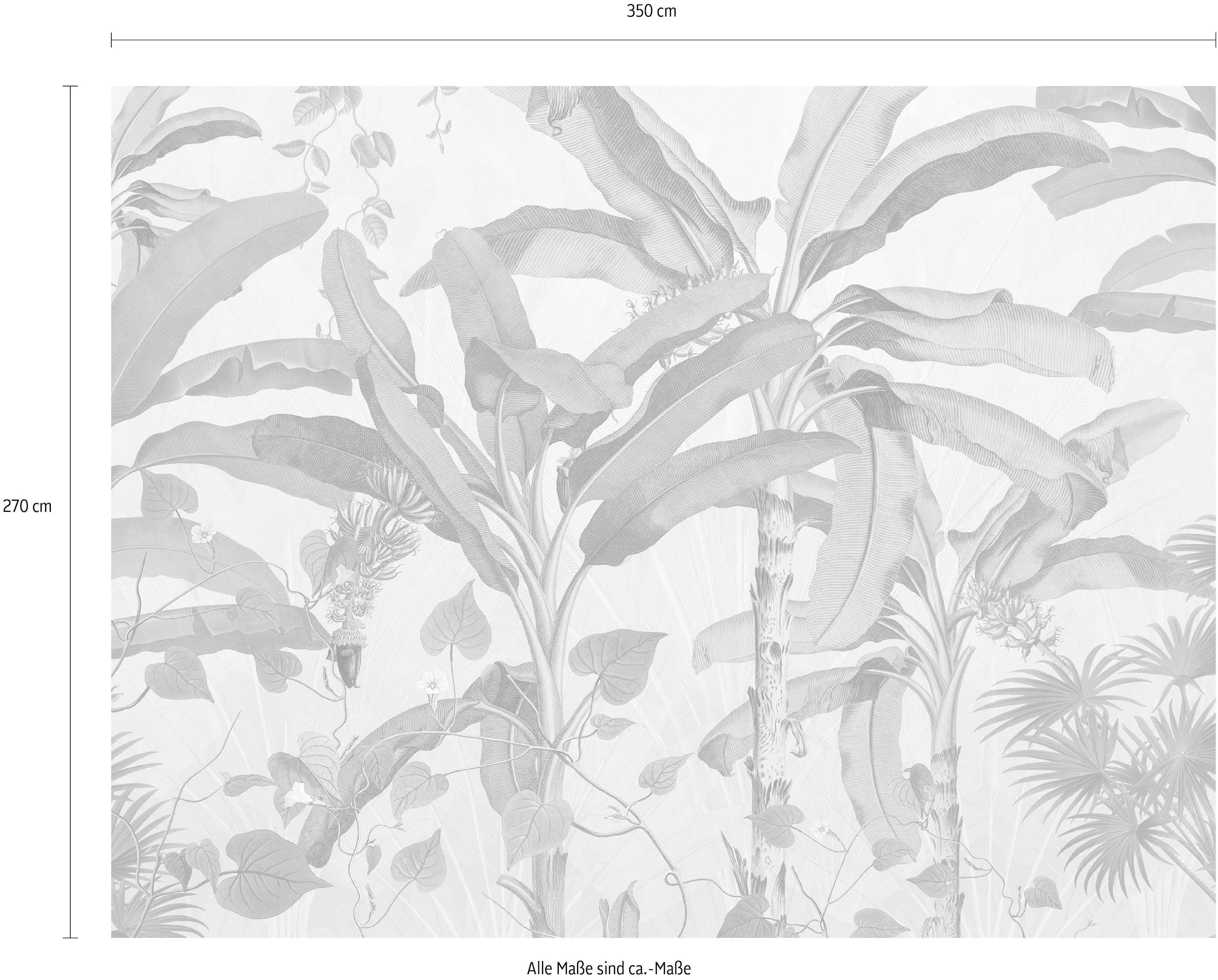 Komar Papier peint intissé »Digitaldruck Vlies -  Plantation - Grösse 350 x 270 cm« imprimé Wohnzimmer, Schlafzimmer