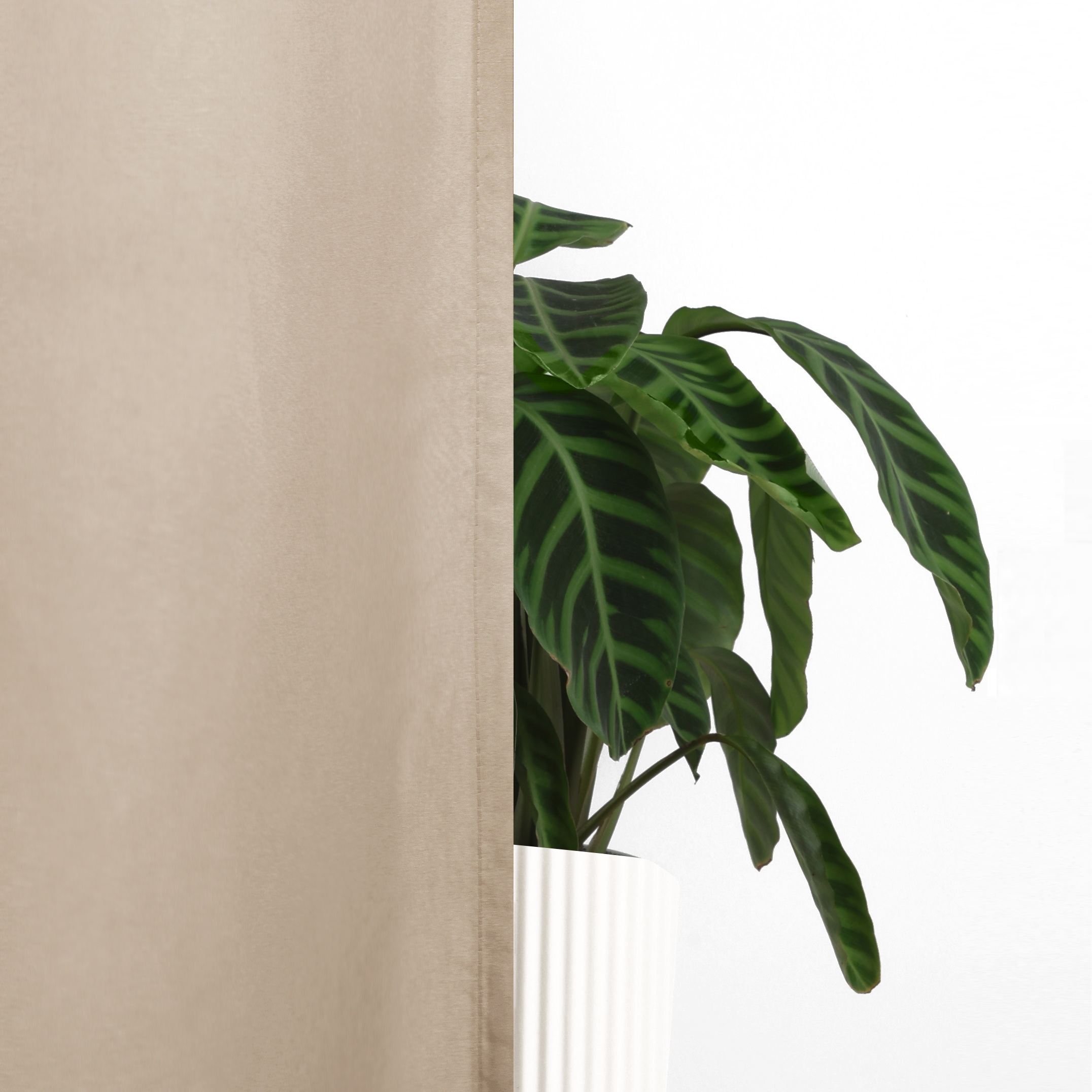 GOODproduct Vorhang »Raja, Gardinen mit Kräuselband, Vorhänge Wohnzimmer« Kräuselband 2 Stk. tlg. 2er-Set, Bestseller, einfarbig, modern, pflegeleicht, Mikrofaser