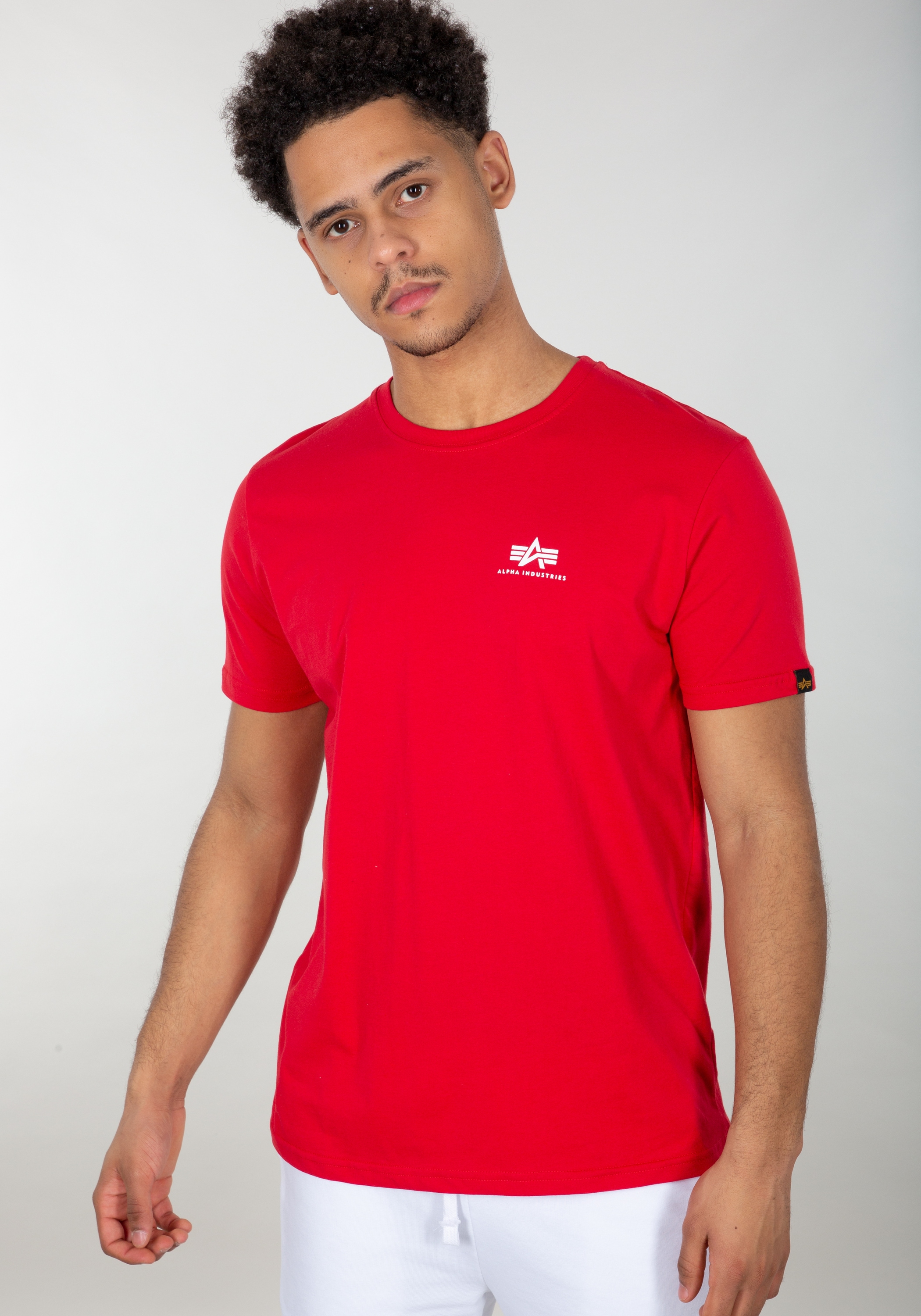 Alpha Industries T-Shirt »Alpha Industries Men - T-Shirts Backprint T-Shirt«
