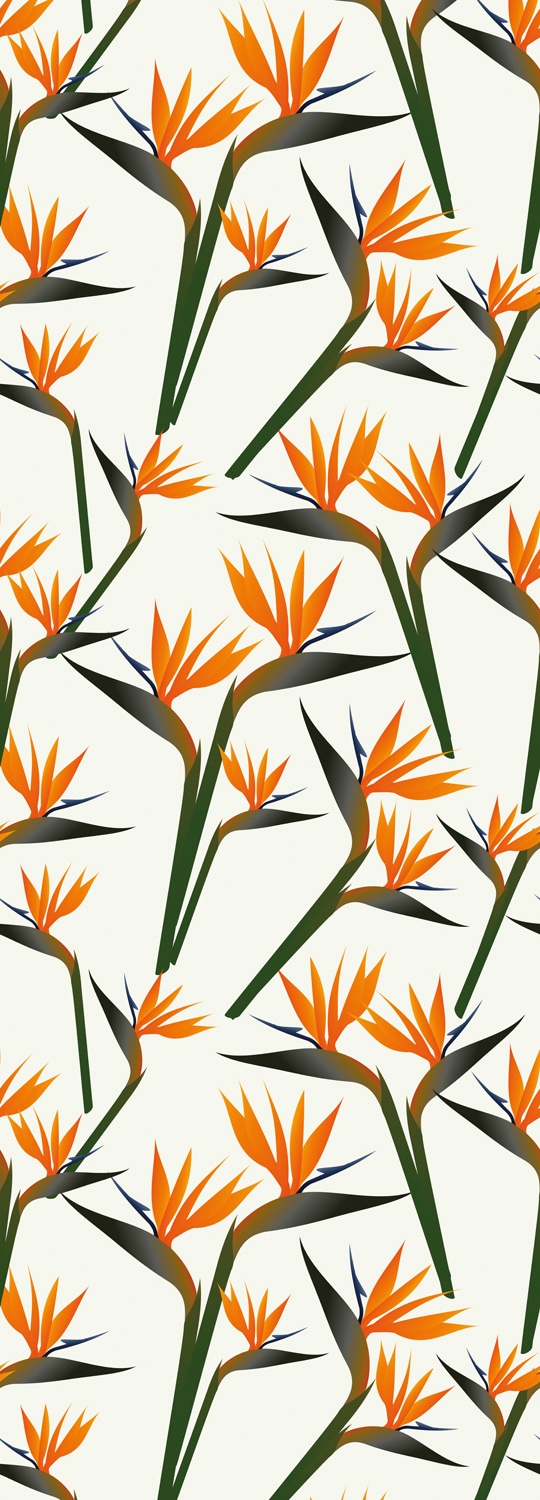 Image of queence Vinyltapete "Samuel" Motiv bedruckt botanisch floral gemustert natürlich glatt 90x250cm, selbstklebend, kinderleichte Anbringung, Sticker