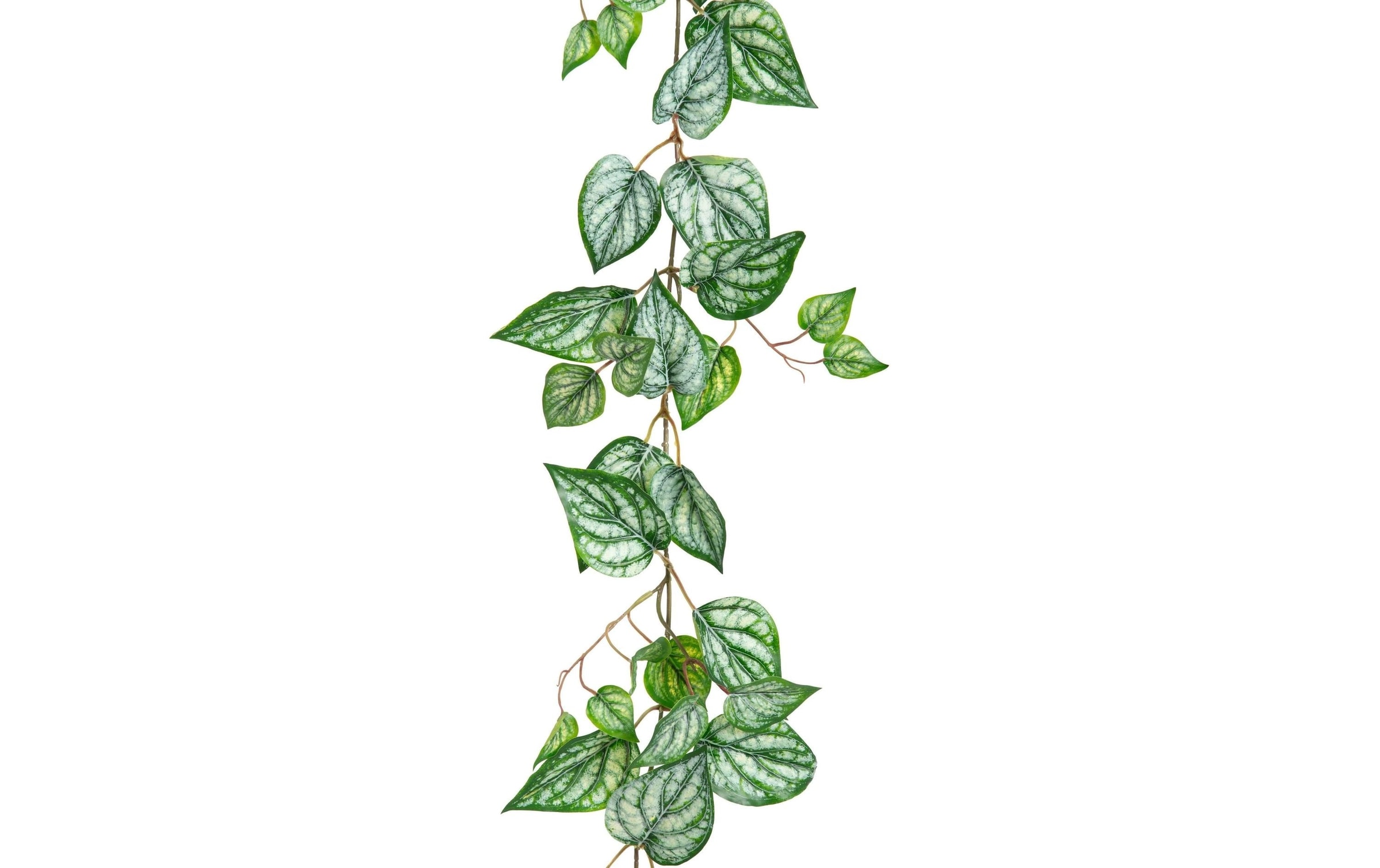Kunstblume »Dekomat AG Calatheagirlande 150 cm«