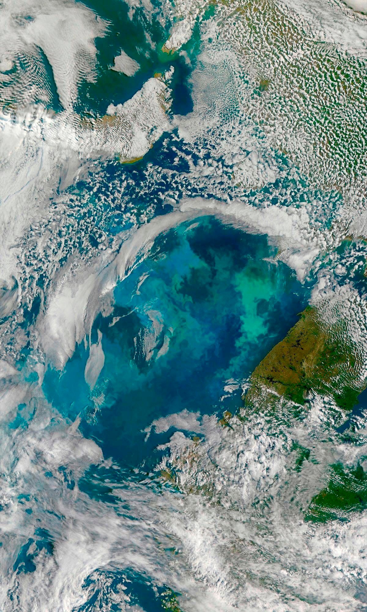 Image of Komar Vliestapete »Planet«, naturalistisch bei Ackermann Versand Schweiz
