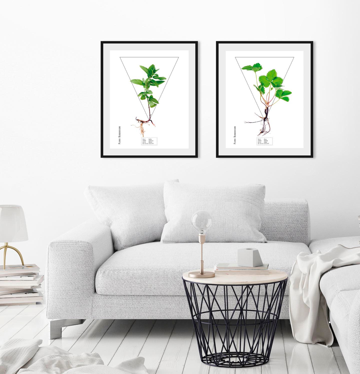 Image of queence Bild "Clover" Pflanzen Pflanzenbilder Schriftzug 1 Stk. tlg. HD Premium Poster-Druck inkl. Holzrahmen