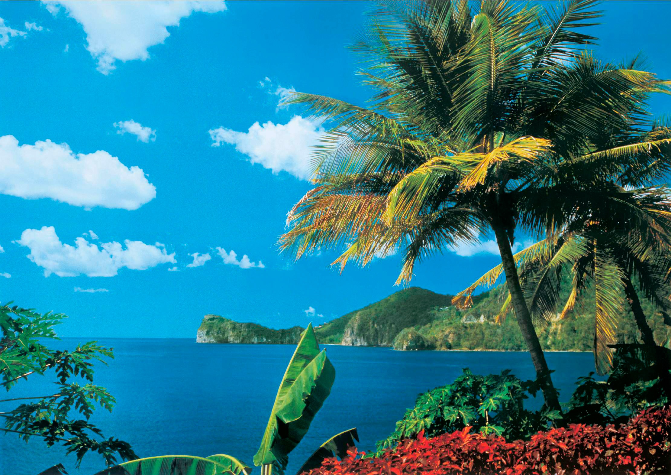 Image of Papermoon Fototapete »St. Lucia« bei Ackermann Versand Schweiz