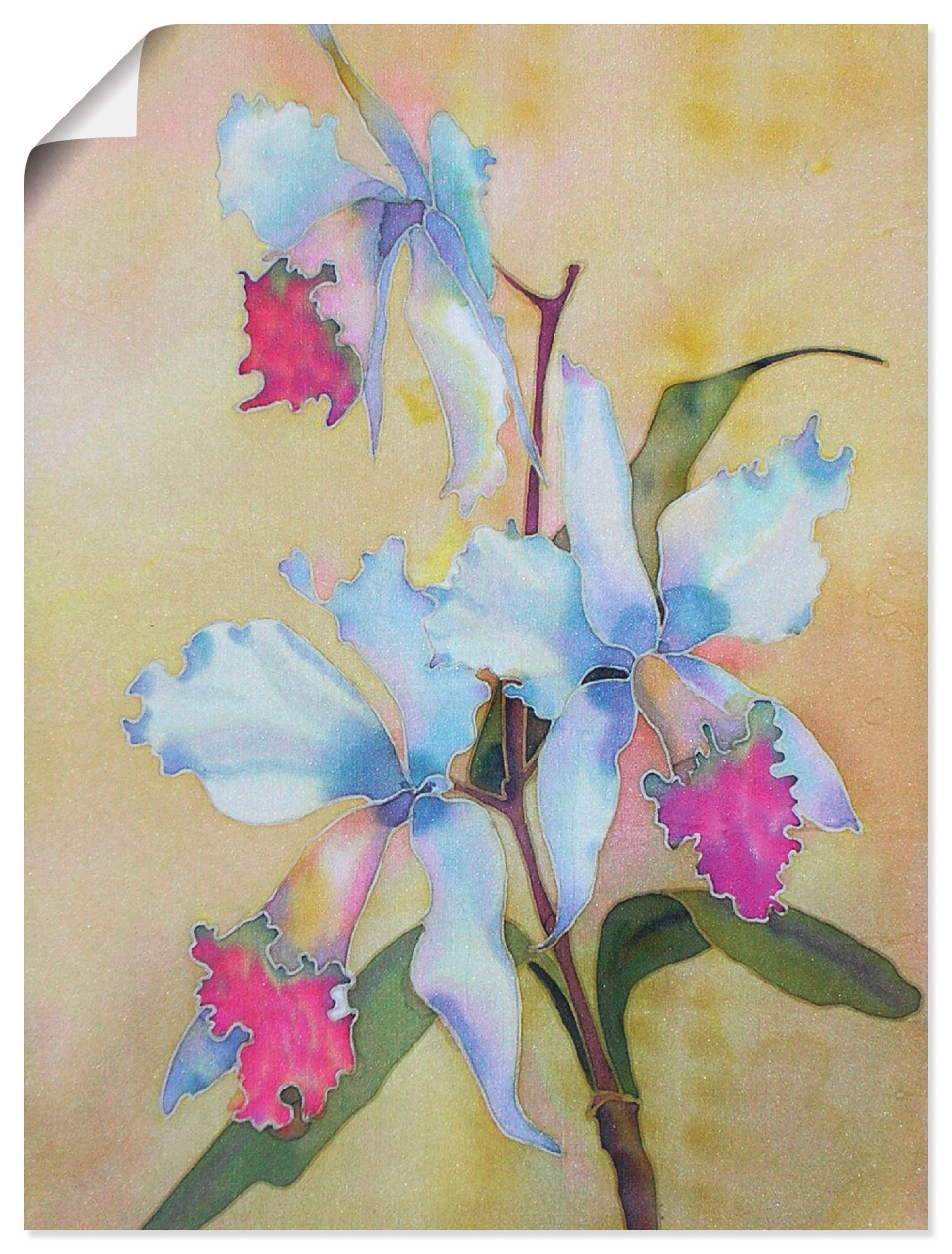 Image of Artland Wandbild »weiss-blaue Orchidee«, Blumen, (1 St.), in vielen Grössen & Produktarten -Leinwandbild, Poster, Wandaufkleber / Wandtattoo auch für Badezimmer geeignet bei Ackermann Versand Schweiz