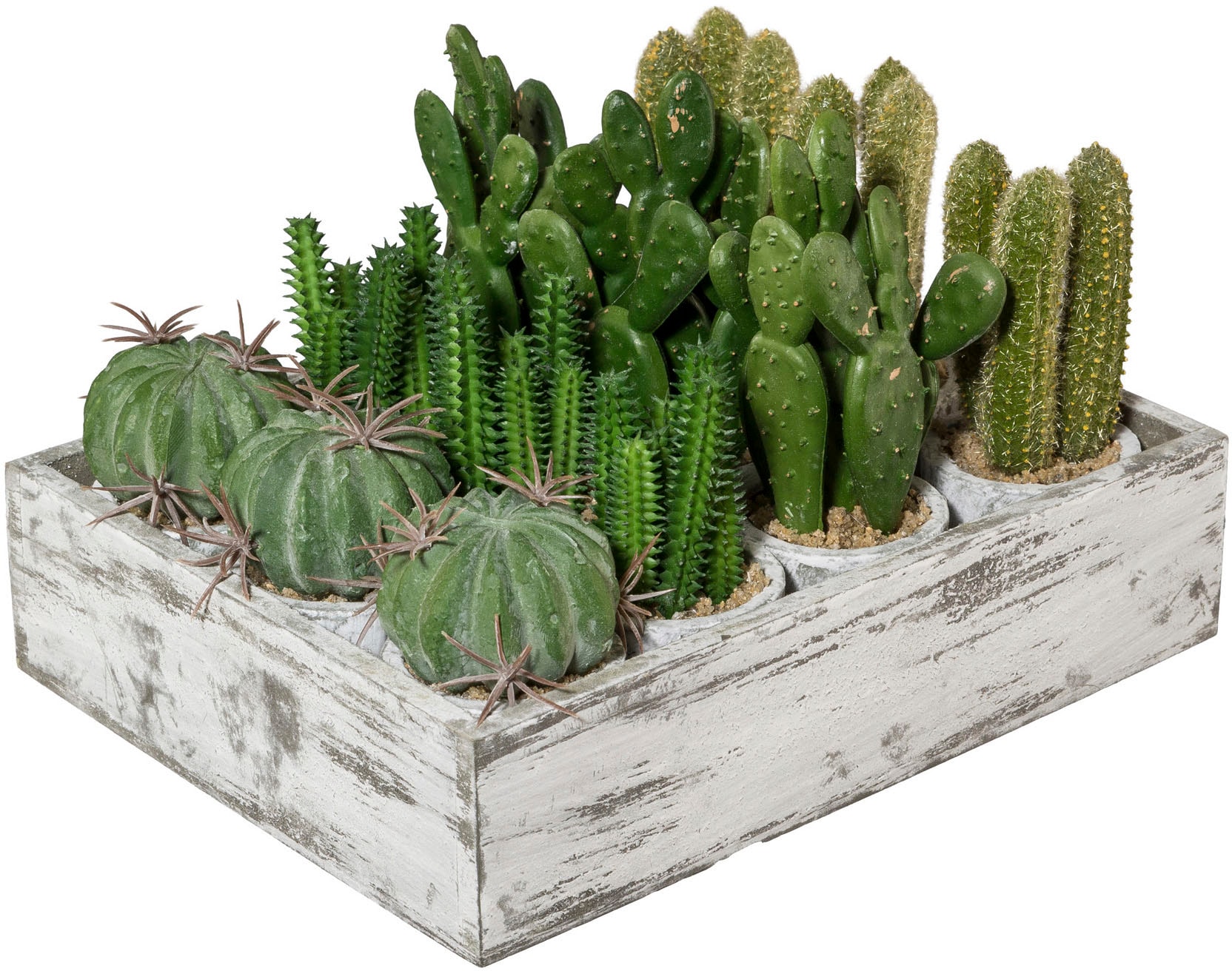 Creativ green Kunstkaktus »Kaktus«, 12er Set, im Paperpot günstig kaufen