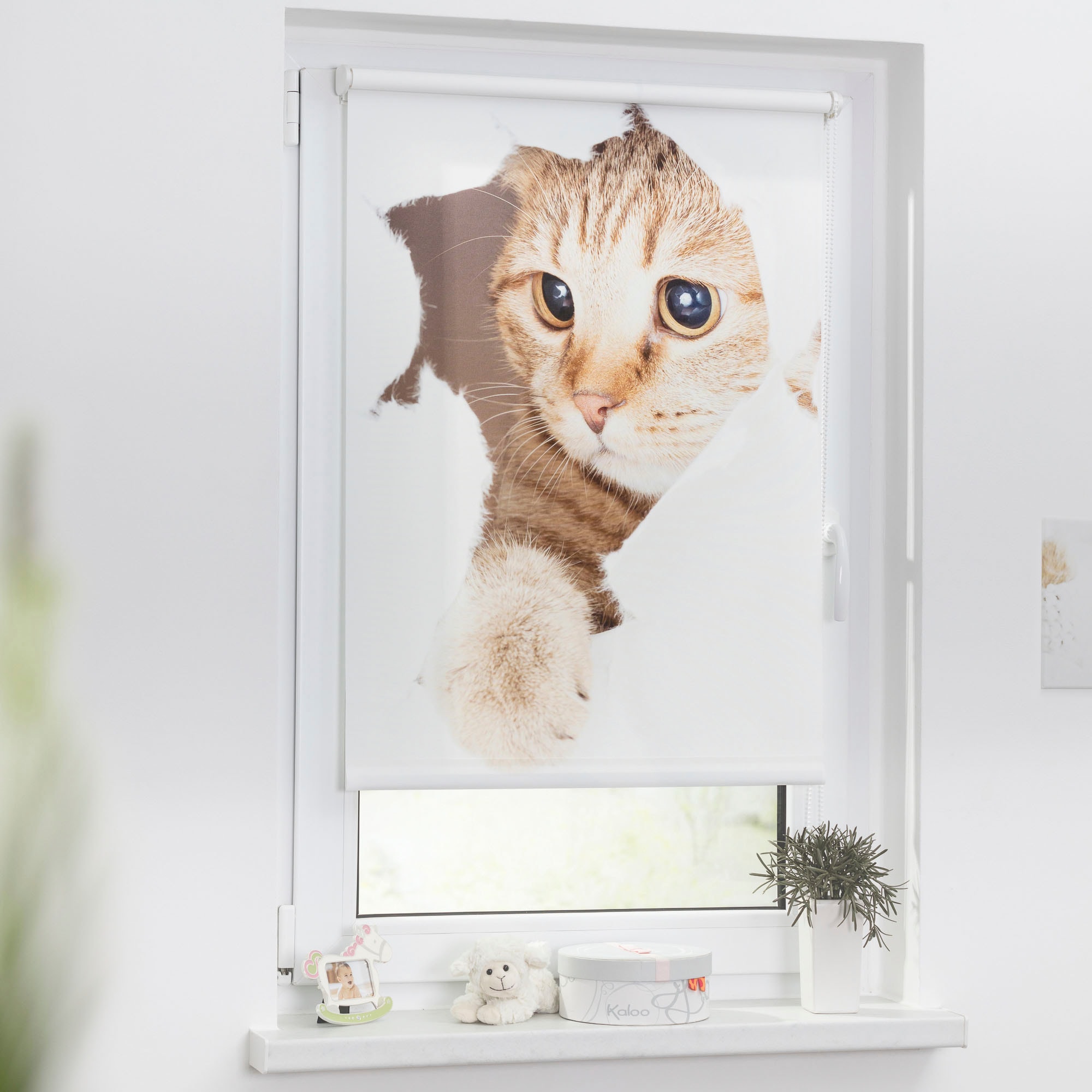 »Klemmfix Katze«, energiesparend, ORIGINAL Seitenzugrollo ohne kaufen Bohren, Digital verdunkelnd, freihängend, LICHTBLICK bedruckt