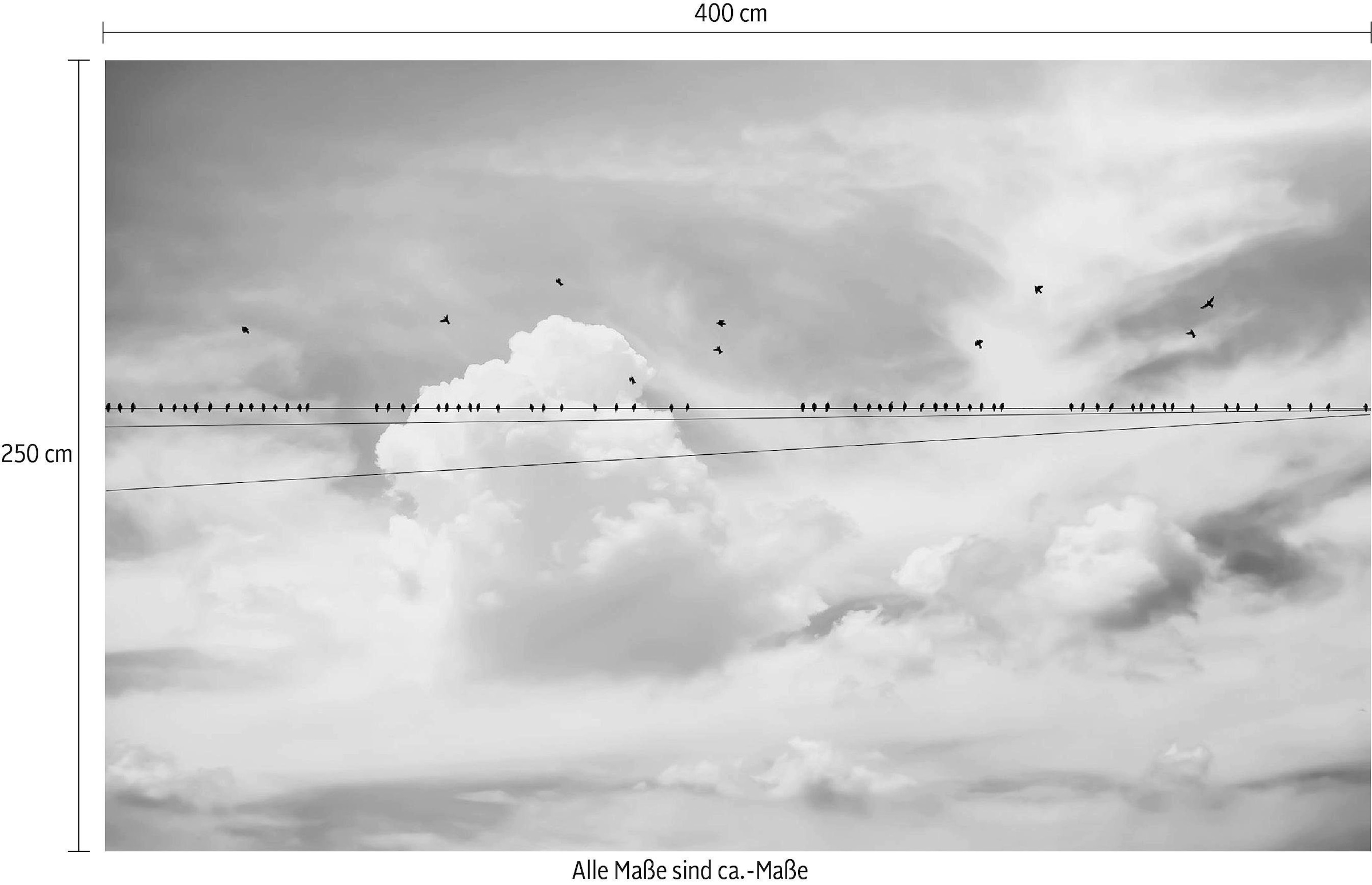 Komar Vliestapete »Digitaldruck Vlies - Cloud Wire - Grösse 400 x 250 cm«, bedruckt, Wohnzimmer, Schlafzimmer