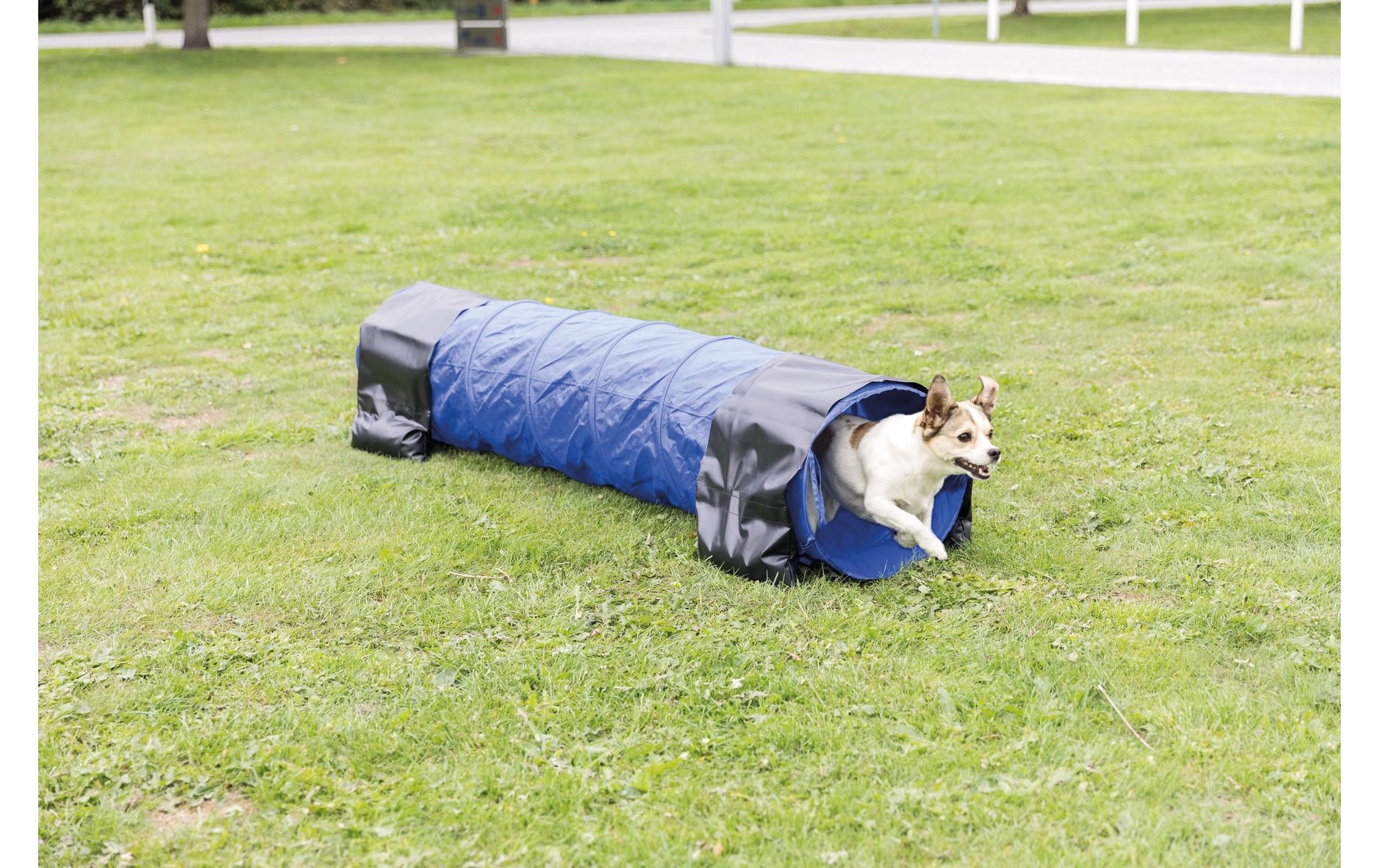 TRIXIE Agility-Tunnel »Agility Tunnel Dog Activity«, Polyester