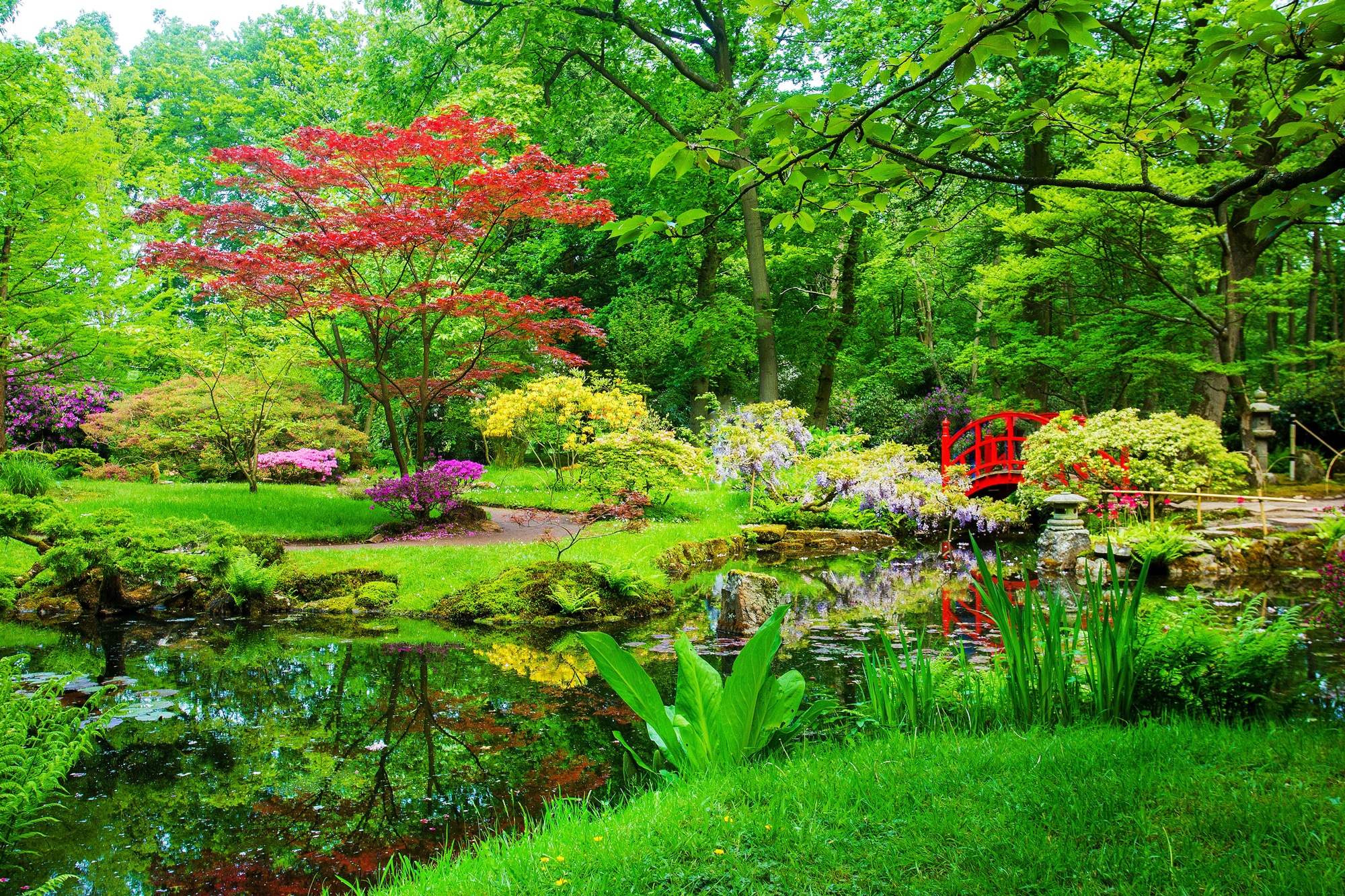 Image of Papermoon Fototapete »GARTEN-BLUMEN BÄUME PFLANZEN STEINE WALD PARK BLÜTEN«, Vliestapete, hochwertiger Digitaldruck, inklusive Kleister bei Ackermann Versand Schweiz