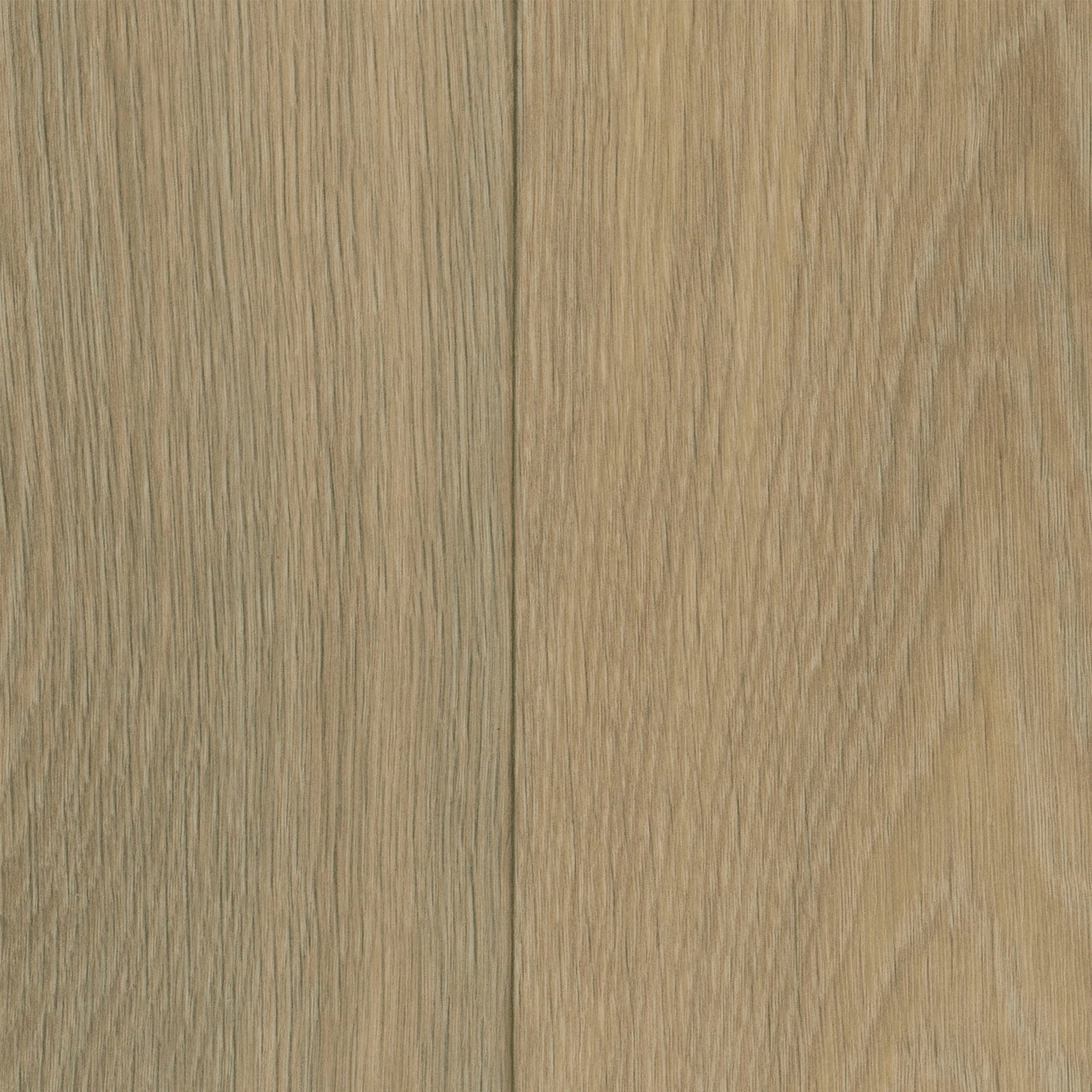 Image of Bodenmeister Vinylboden »PVC Bodenbelag Holzoptik Diele Eiche hell creme beige«, Meterware, Breite 200/300/400 cm bei Ackermann Versand Schweiz