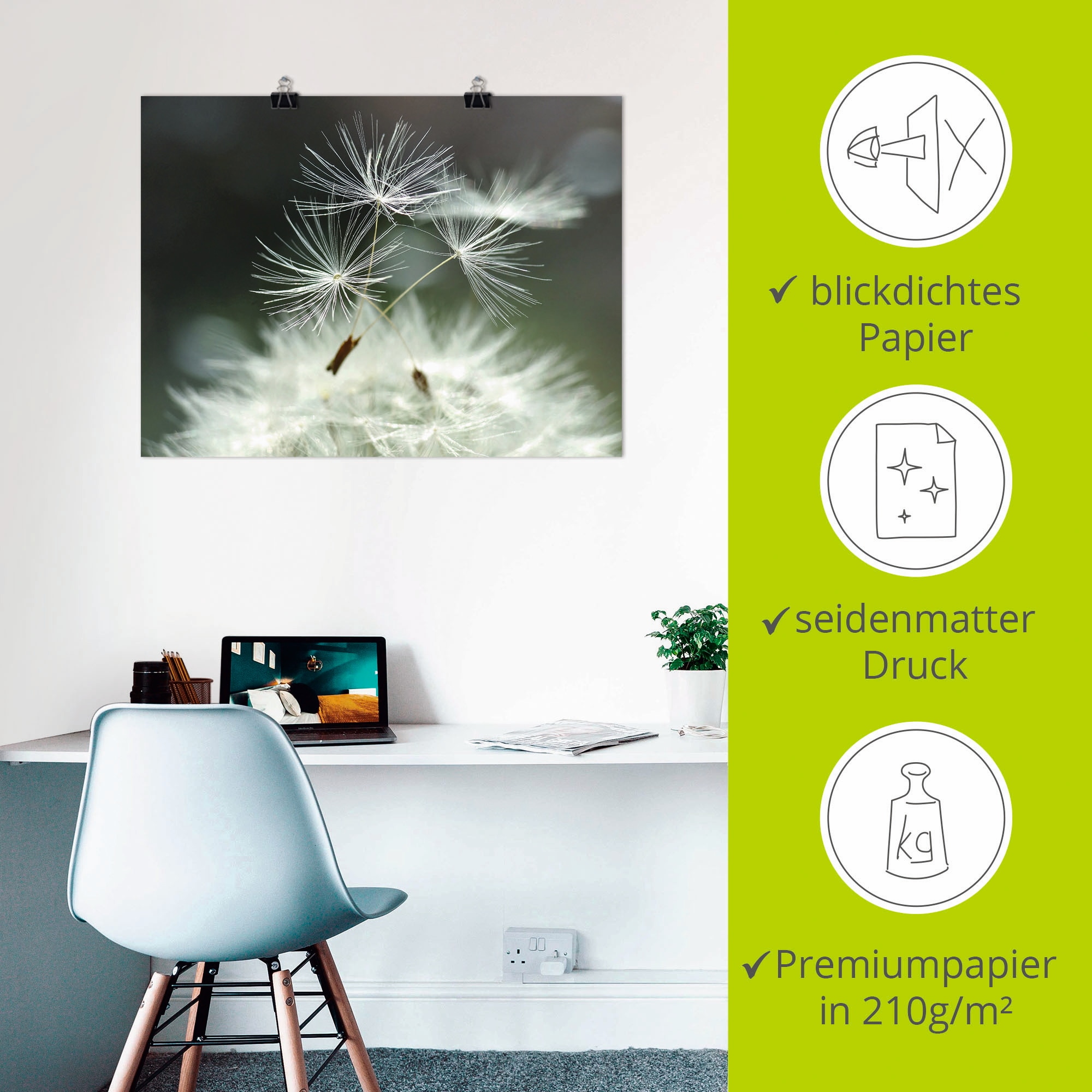 Artland Wandbild »Pusteblume Facility« Blumen 1 Stk. tlg. als Alubild, Leinwandbild, Poster in verschied. Grössen