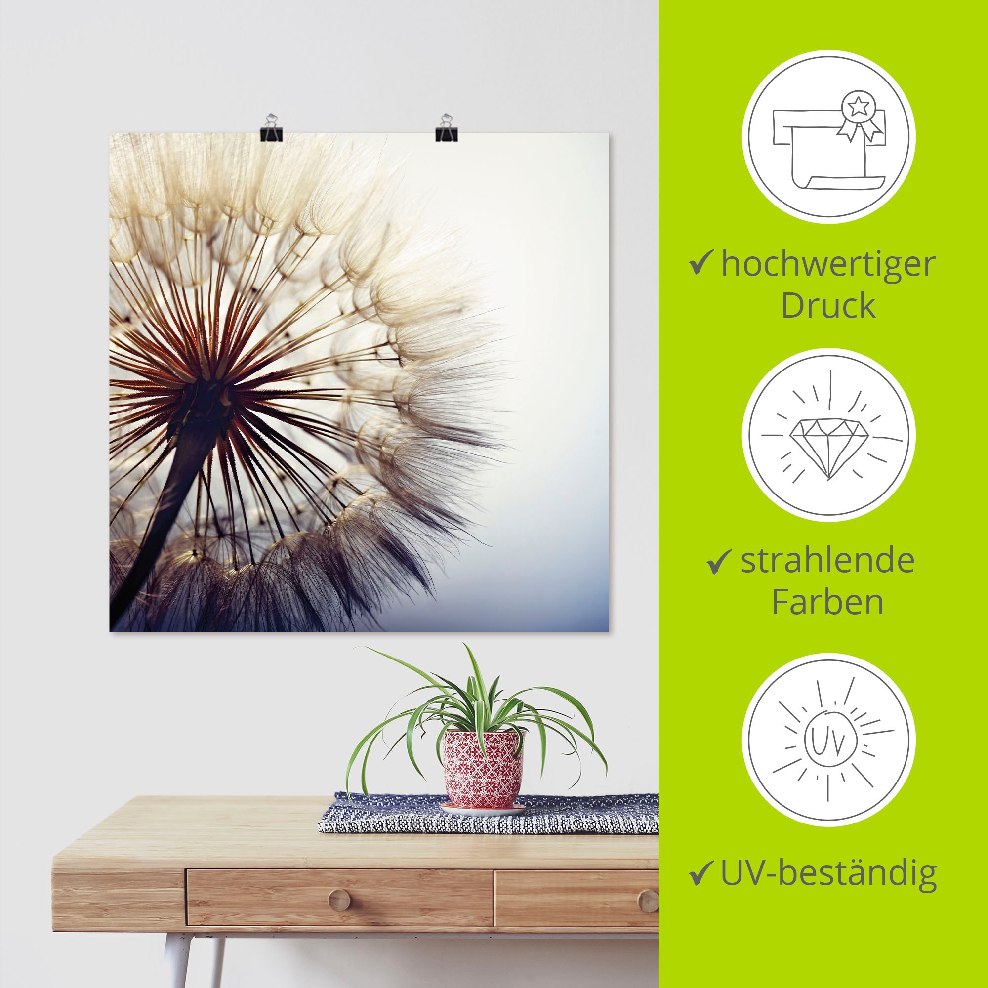 Artland Wandbild »Grosse Pusteblume« Blumen 1 Stk. tlg. als Leinwandbild, Poster in verschied. Grössen