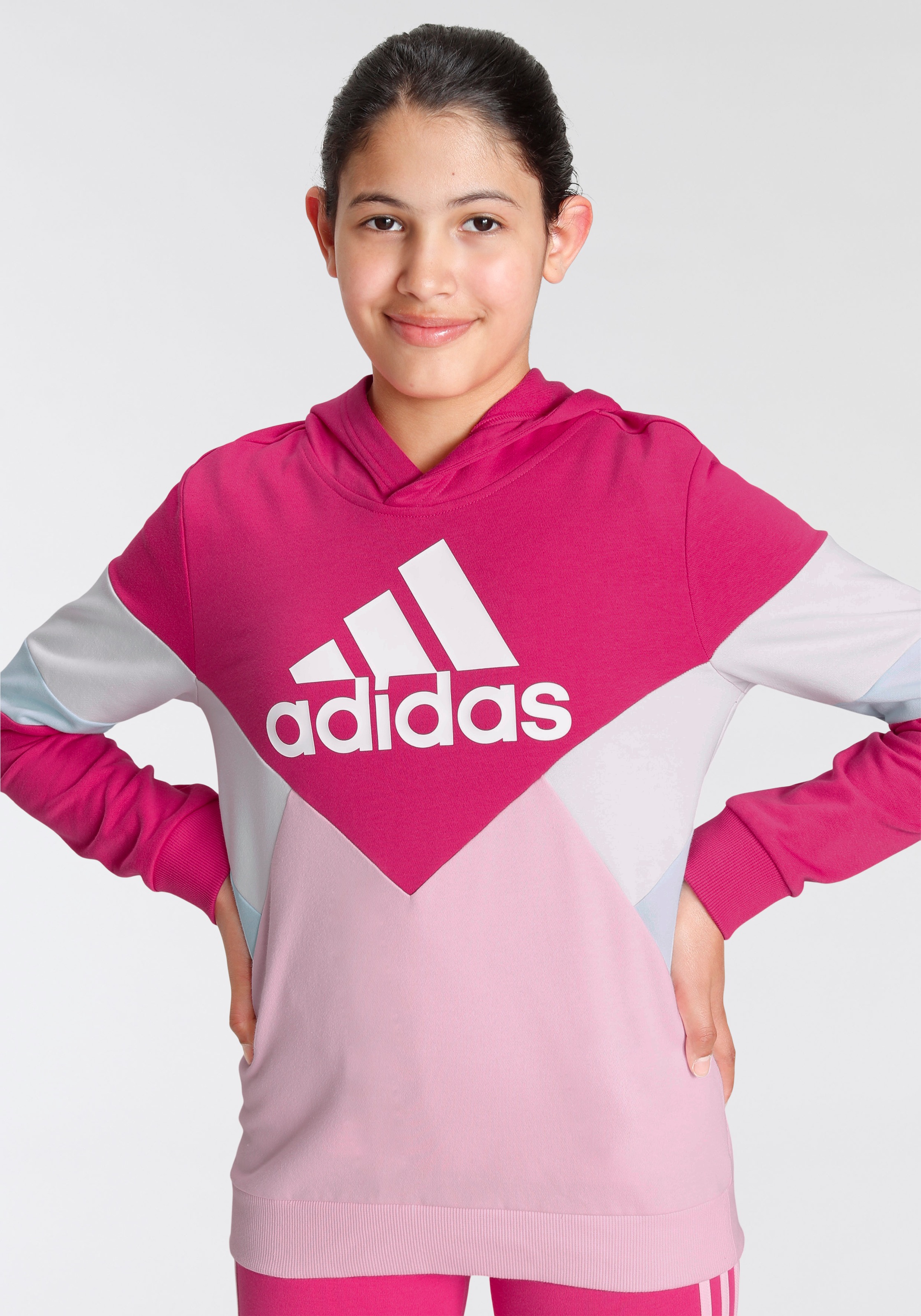 adidas Sportswear Sweatshirt »COLORBLOCK FLEECE HOODIE« kaufen