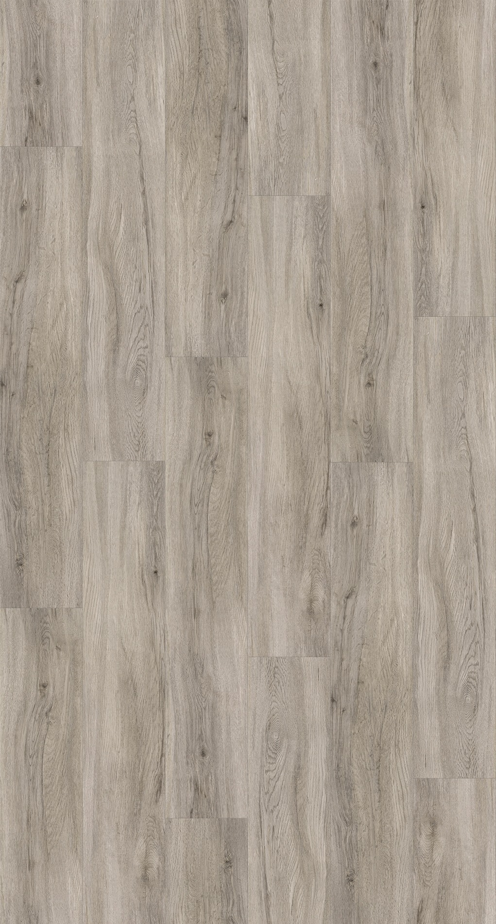 Image of PARADOR Vinylboden »Basic 2.0 - Eiche pastellgrau«, 122,6 x 22,9 x 0,2 cm, 4,5 m² bei Ackermann Versand Schweiz
