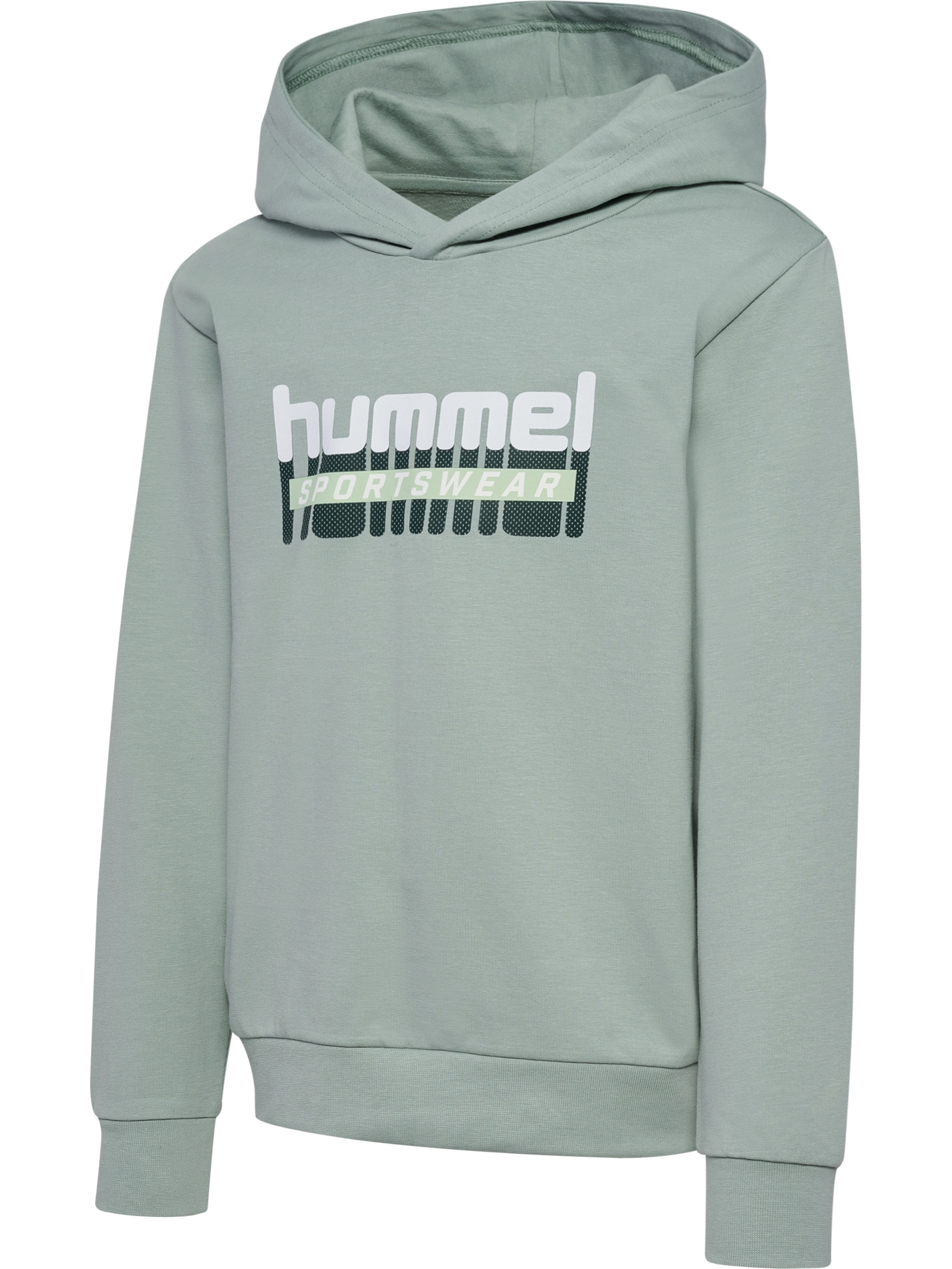 hummel Kapuzensweatshirt, für Kinder