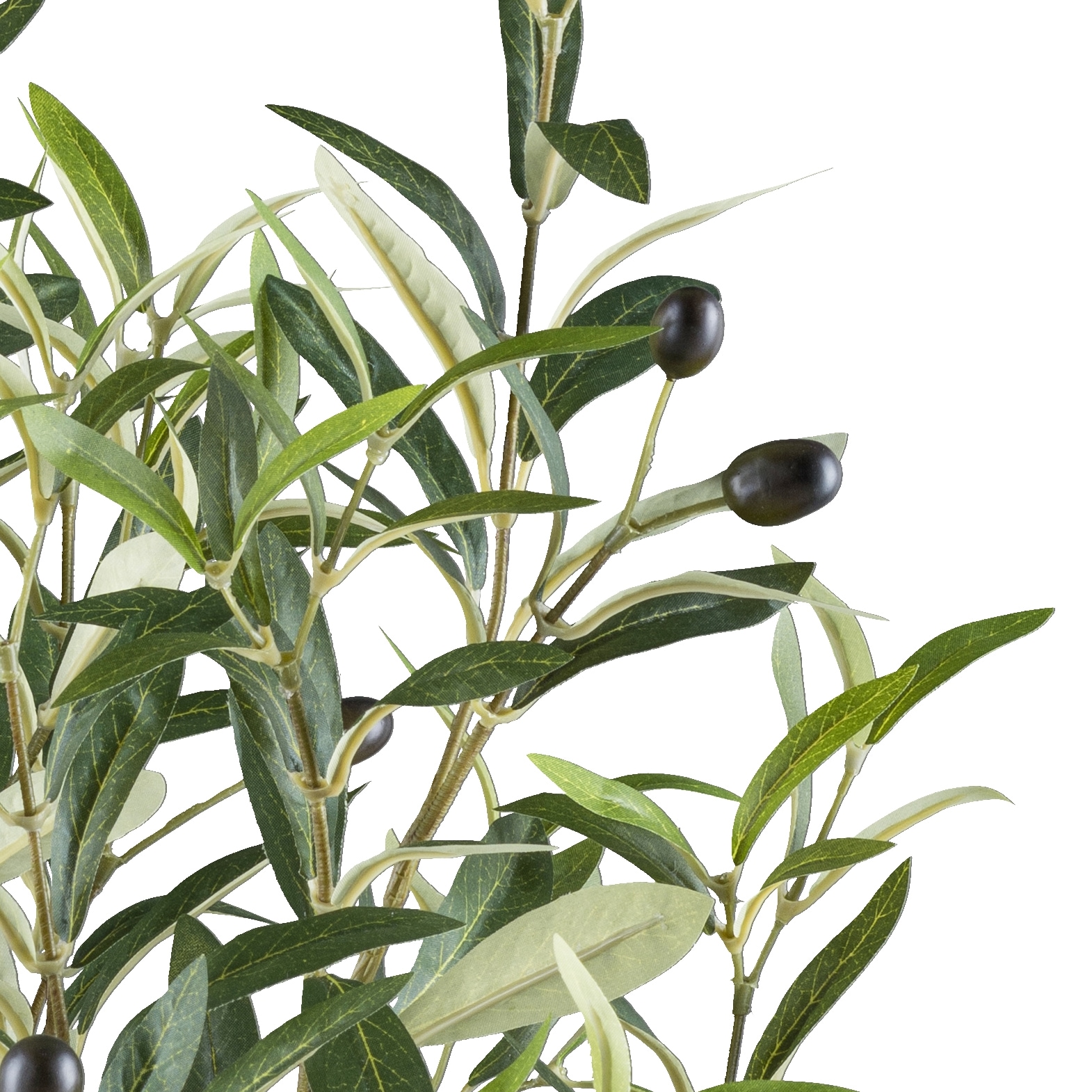 Creativ green Kunstpflanze »Olive« mit detailgetreuer Gestaltung
