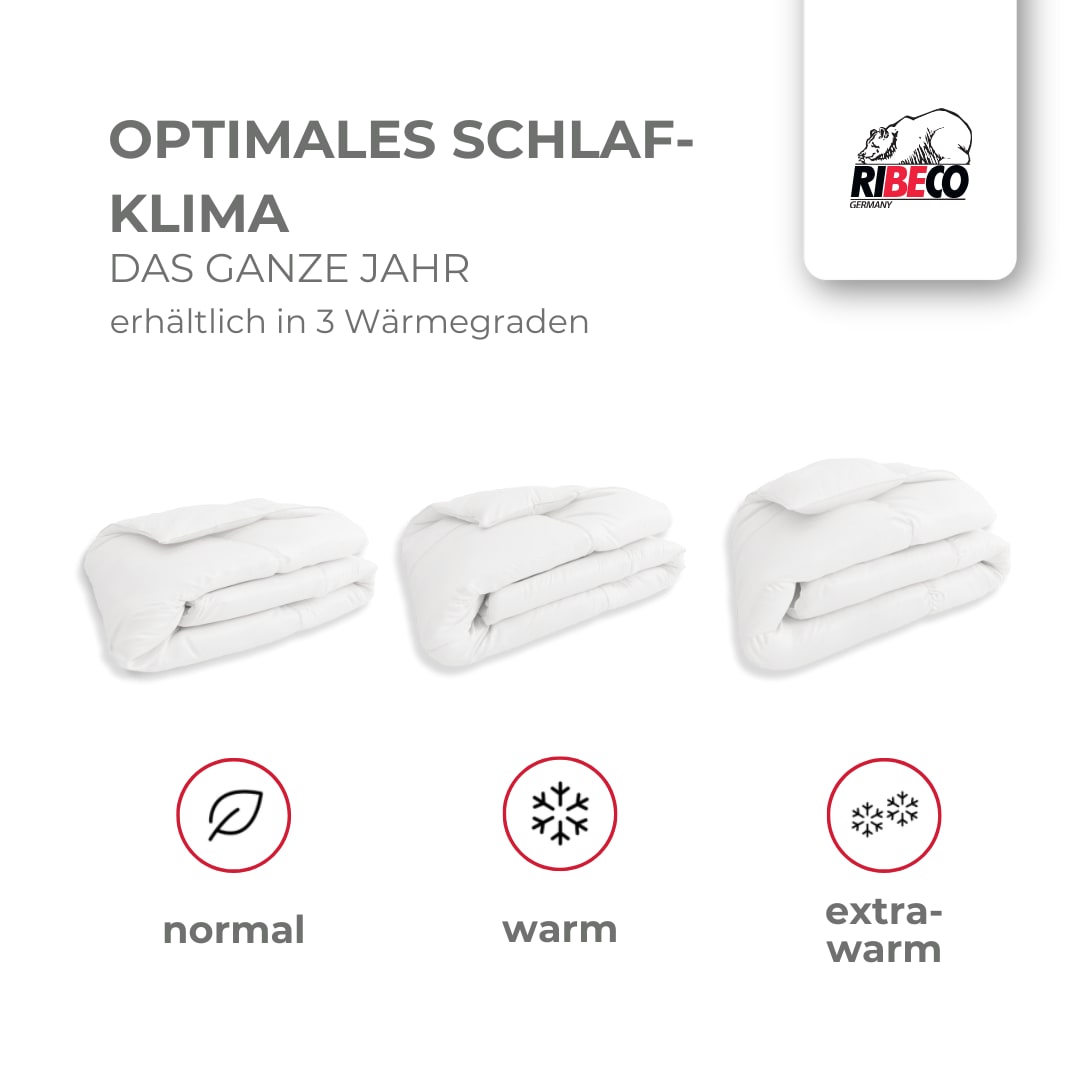 RIBECO Federbettdecke + Federkissen »Laram, 2-tlg. Naturprodukt zum TOP-Preis!«, (Spar-Set), Decke mit Kissen, verschiedene Grössen, Bettdecke 135x200, 155x220 cm