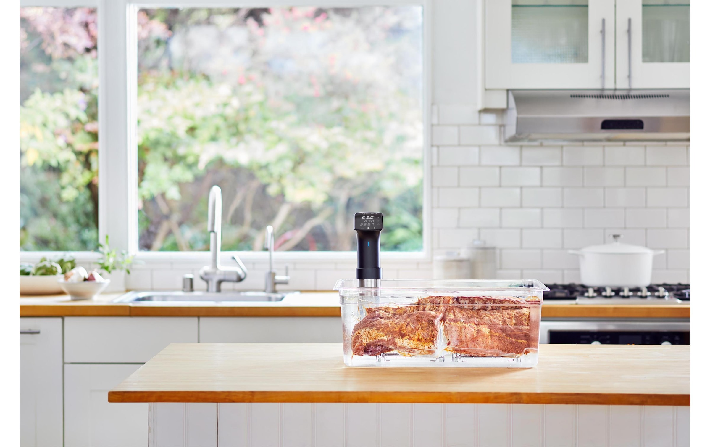 Sous-Vide Stick »Anova Sous Vide Stick Precision® Cooker PRO«