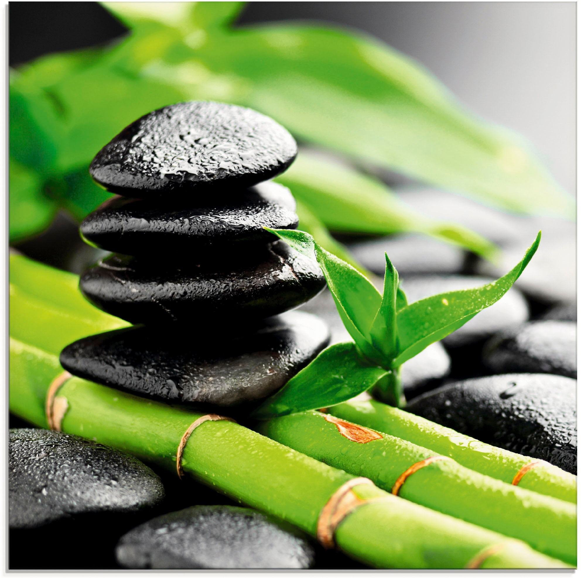 Image of Artland Glasbild »Wachstum - Lavasteine Bambus«, Zen, (1 St.) bei Ackermann Versand Schweiz