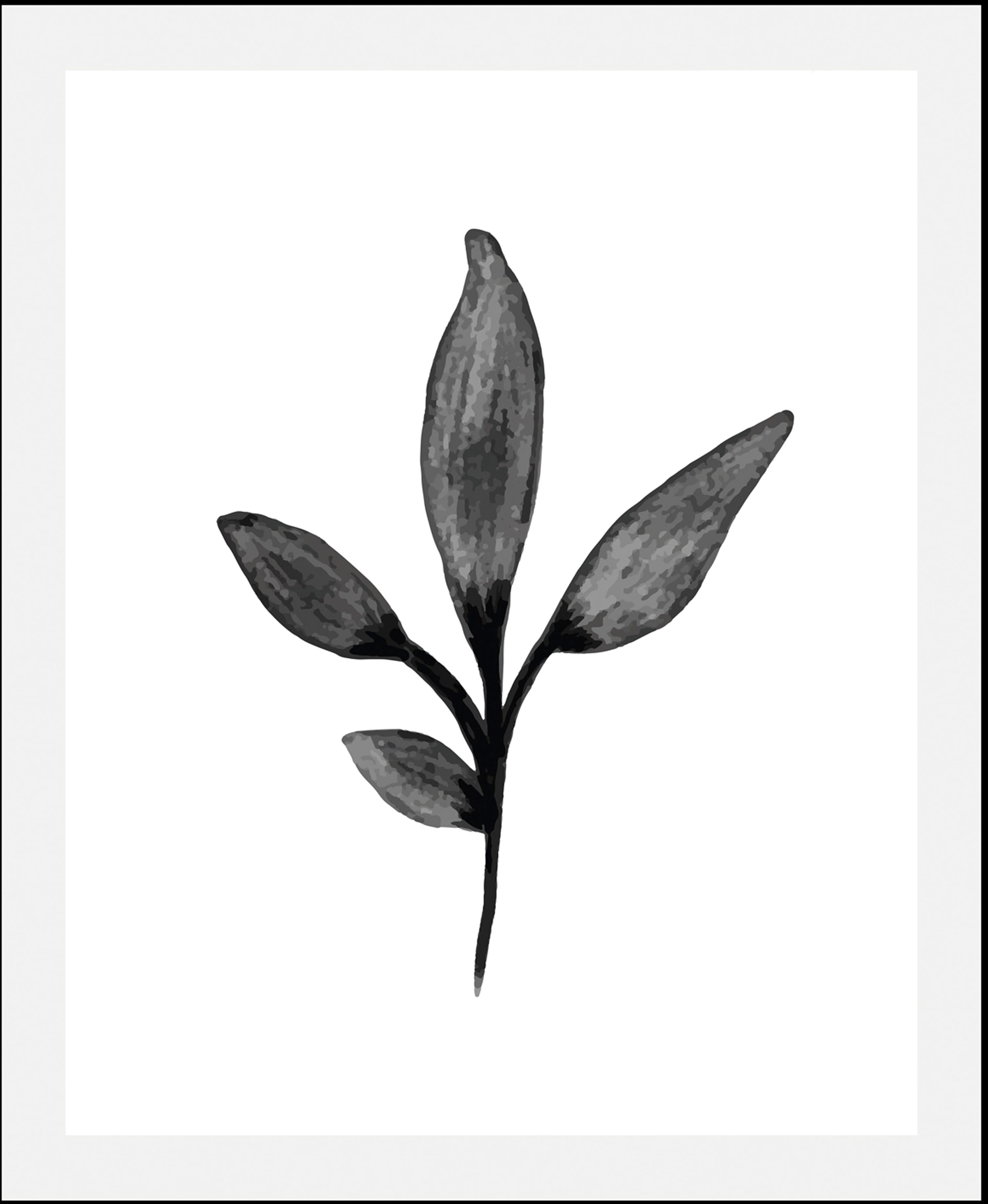 Image of queence Bild "Hille" Art Blumen Kunst Pflanzen Pflanzenbilder Schwarz-Weiss 1 Stk. tlg. gerahmt