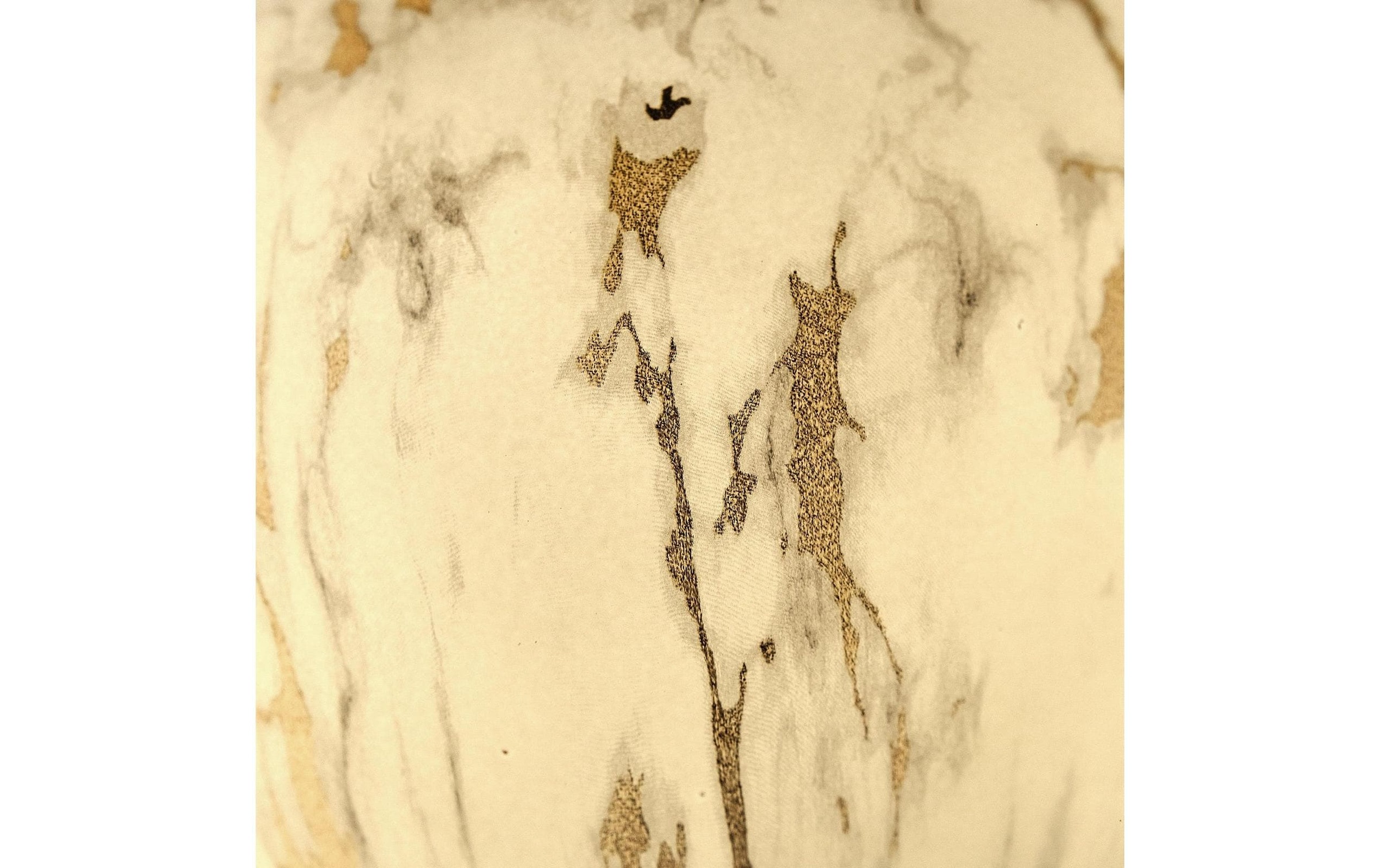   Diffuseur »Maison Berger Marbrure Liliflora«