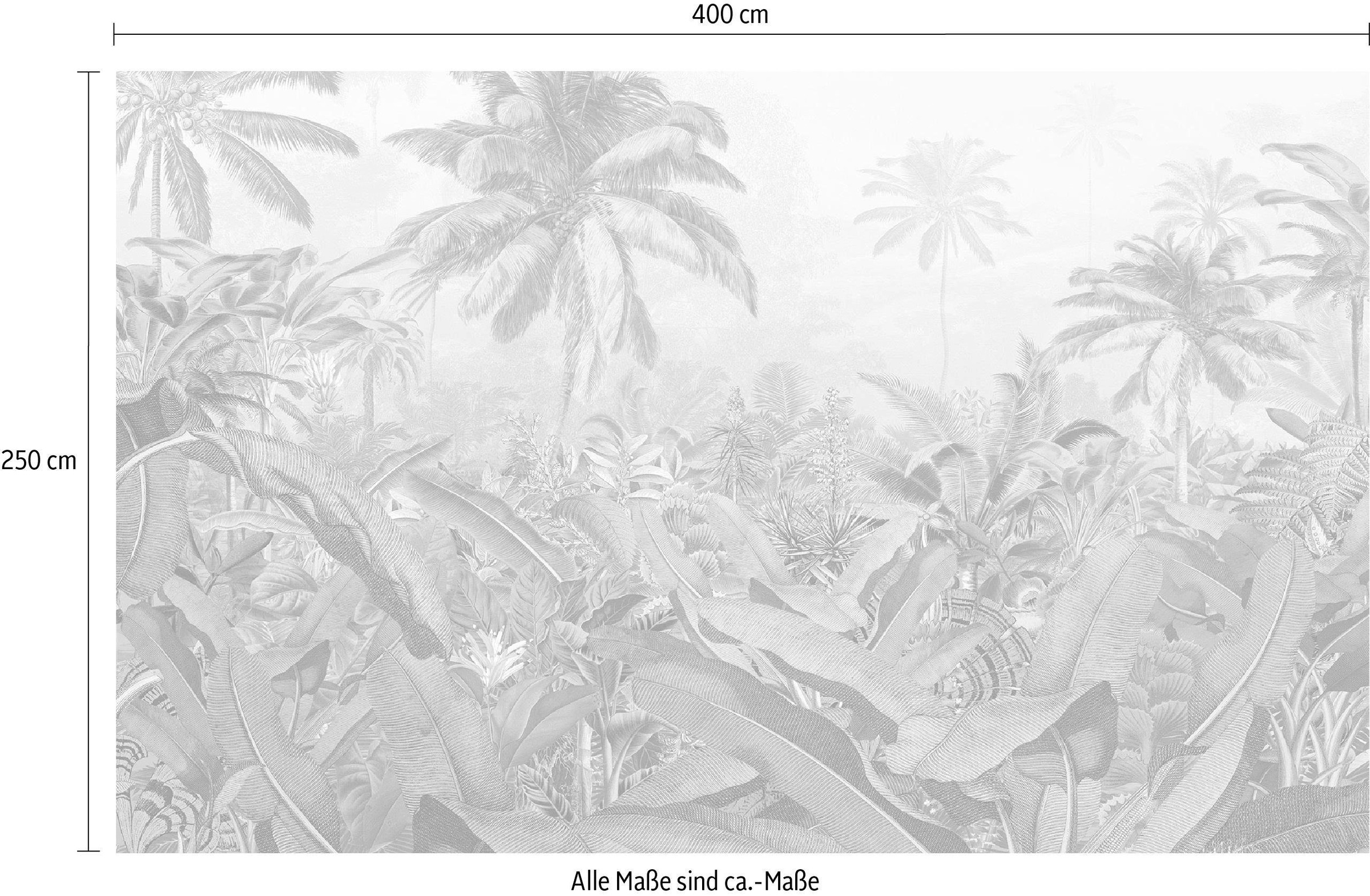 Komar Vliestapete »Digitaldruck Vlies - Amazonia Black & White - Grösse 400 x 250 cm«, bedruckt, Wohnzimmer, Schlafzimmer