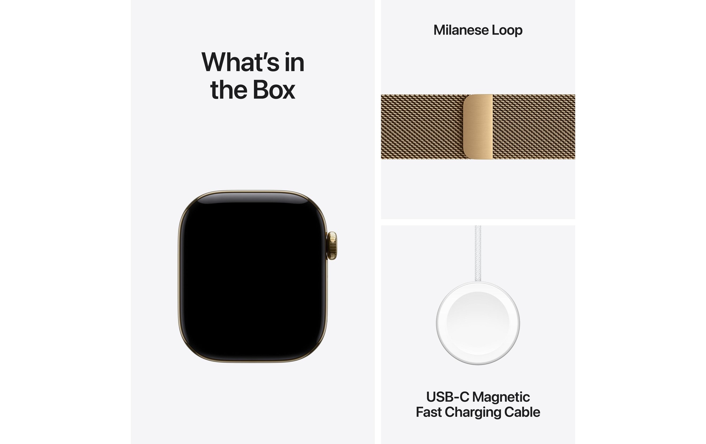 Apple Smartwatch »Apple Watch S12 42 mm CEL Titanium, Milanese Loop«(42/ 1,65 ″)