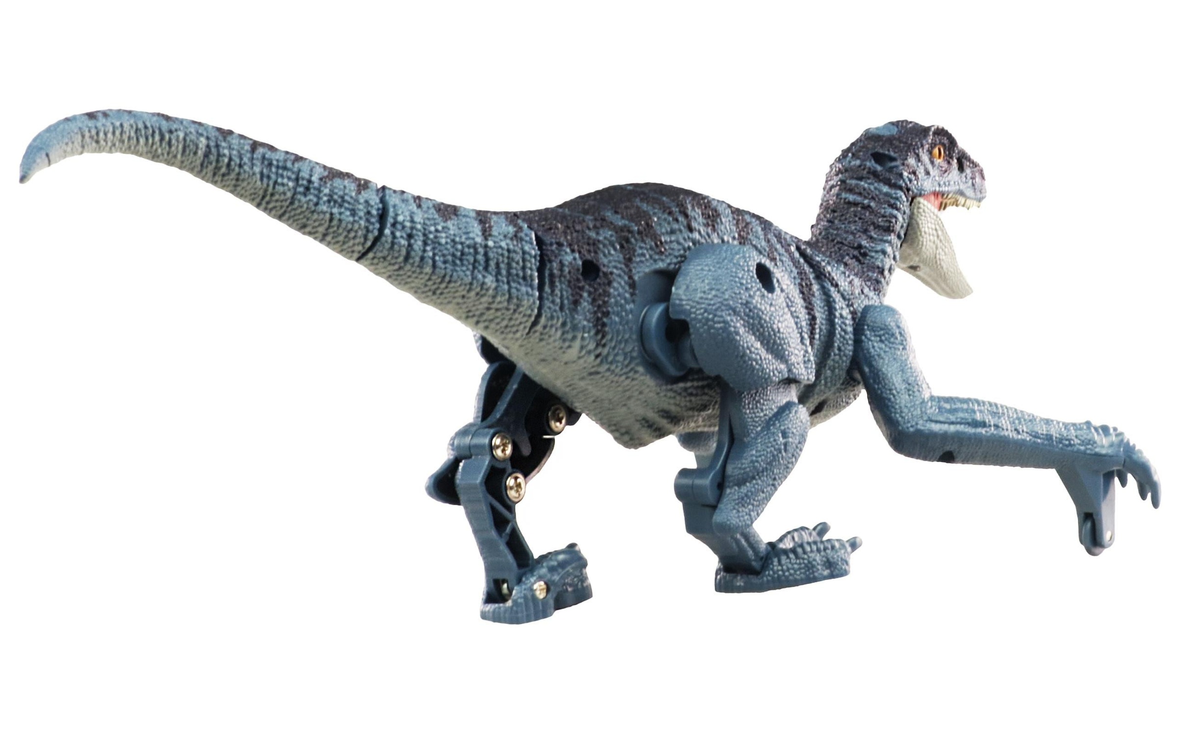 Amewi RC-Tier »Velociraptor Blaugrau, RTR«