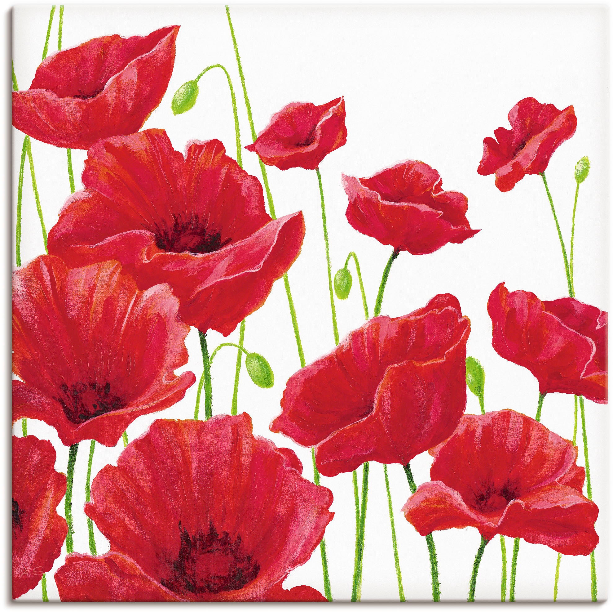 Image of Artland Wandbild "Rote Mohnblumen I" Blumen 1 Stk. tlg. als Leinwandbild, Poster in verschied. Grössen