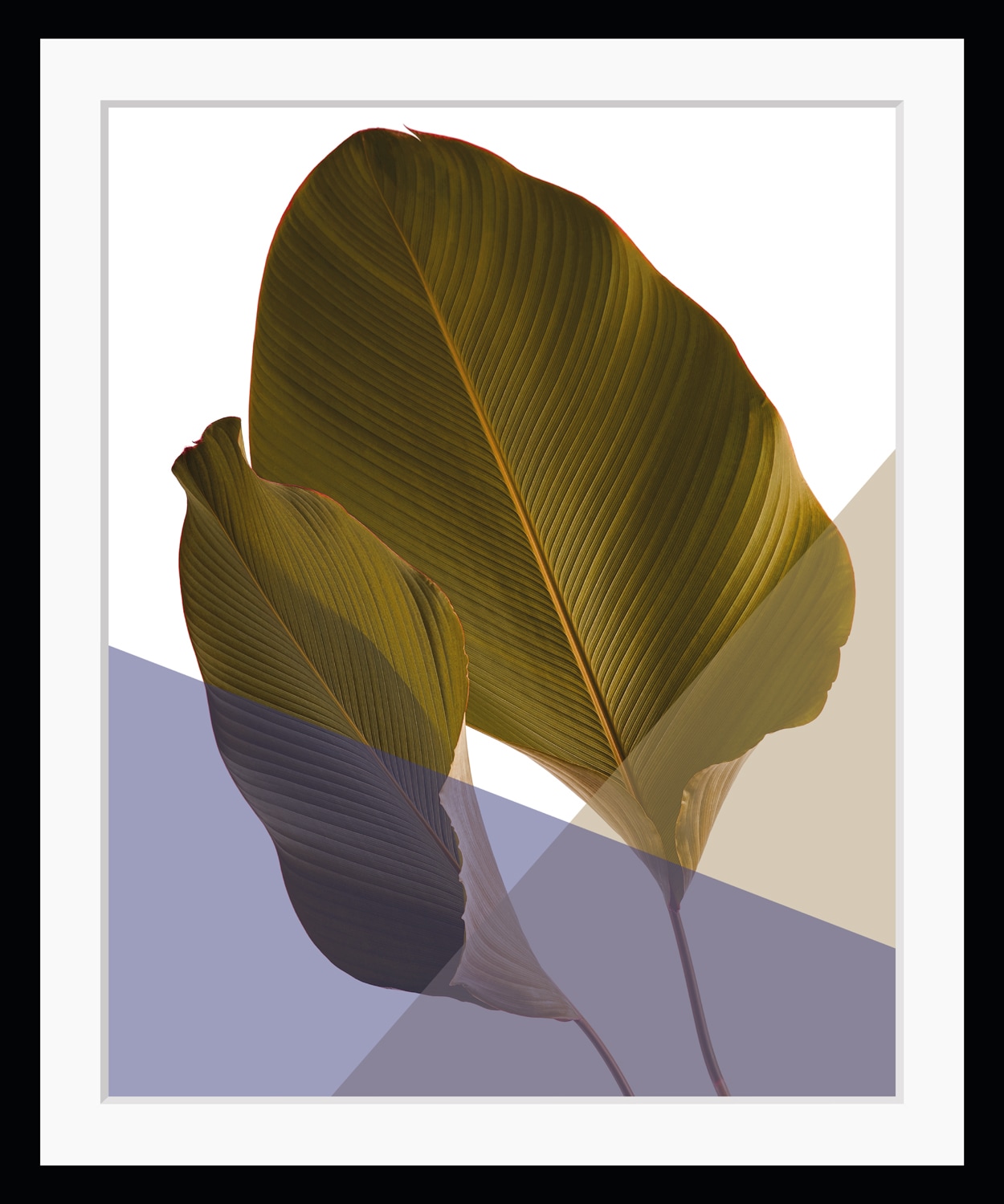 Image of queence Bild "Moritz" Abstrakt Blätter Figuren Kunst Pflanzen Pflanzenbilder HD Premium Poster-Druck inkl. Holzrahmen