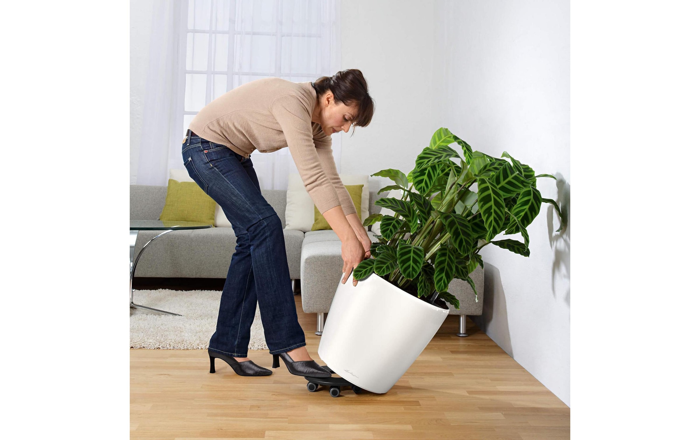   Blumentopf »Lechuza CLASSICO Premium LS 43«